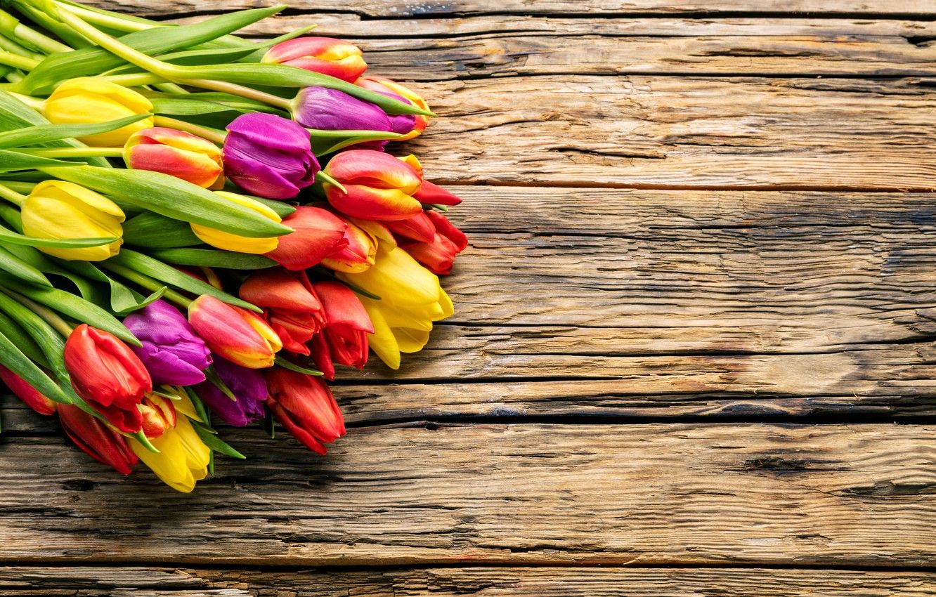 Wallpaper flowers, bouquet, spring, colorful, tulips, fresh, wood