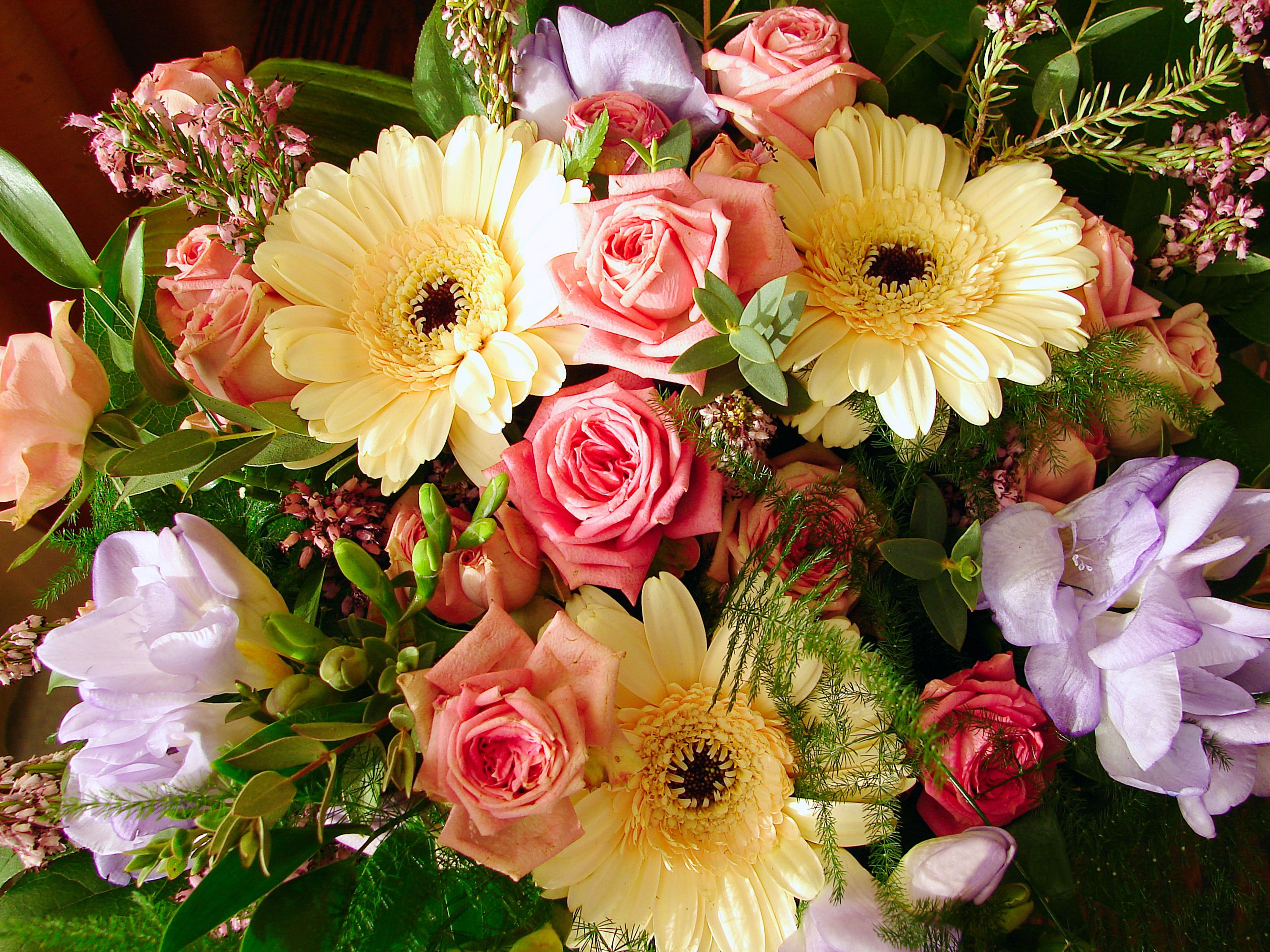 Spring Flower Bouquet HD Wallpaper. Background Imagex2000
