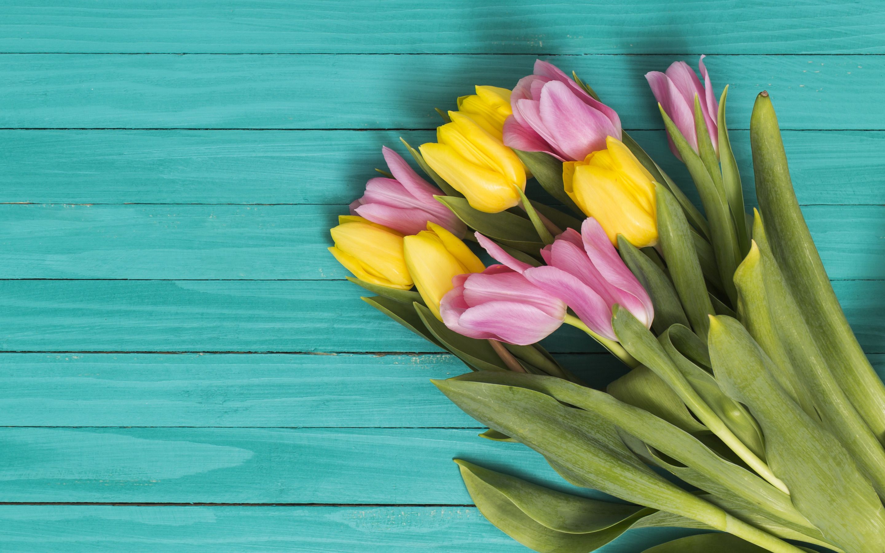 Download wallpaper bouquet of tulips, blue wooden background