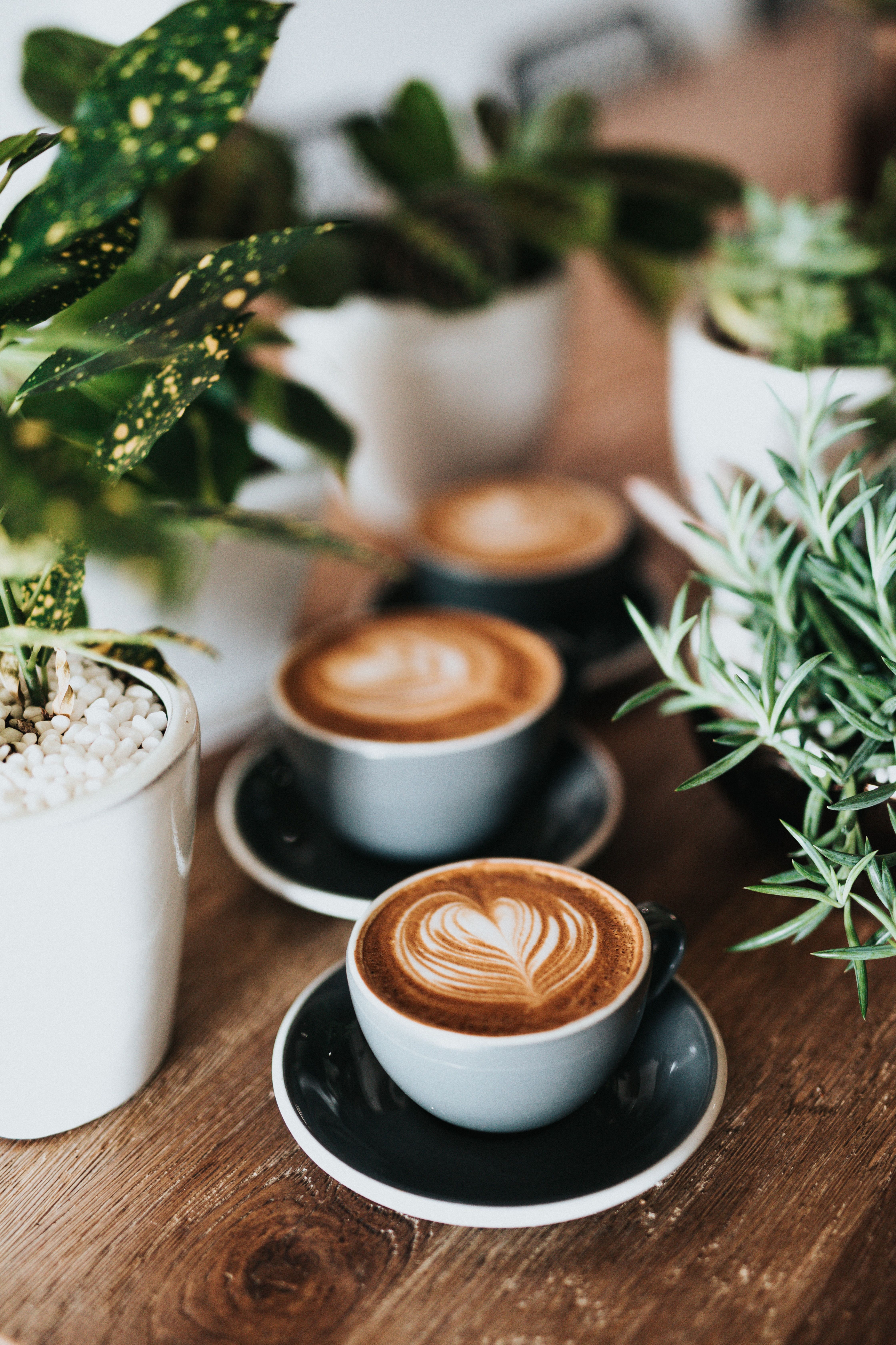 Aesthetic Cafe Wallpapers Wallpaper Cave