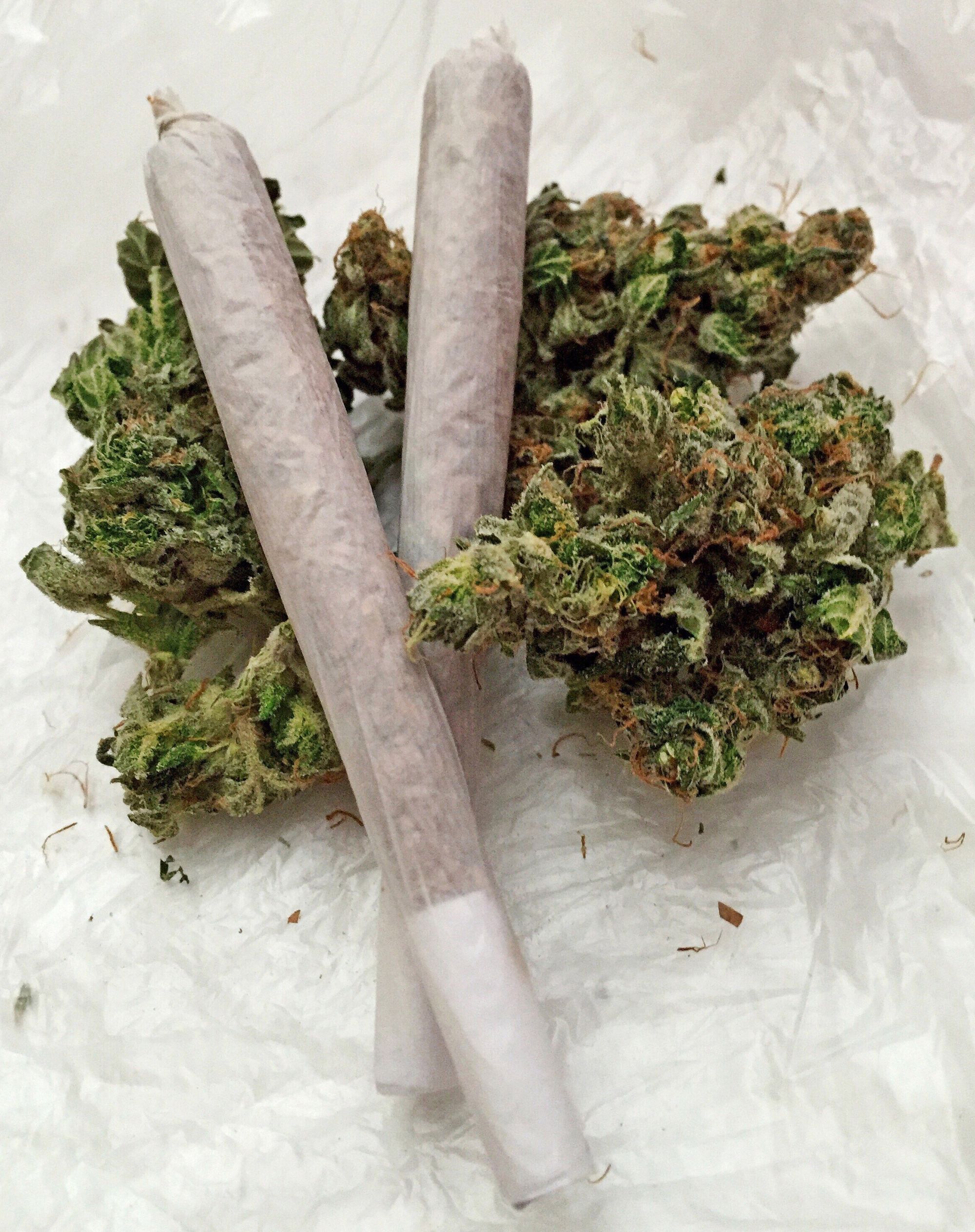 These are all the ways marijuana is actually bad for your health