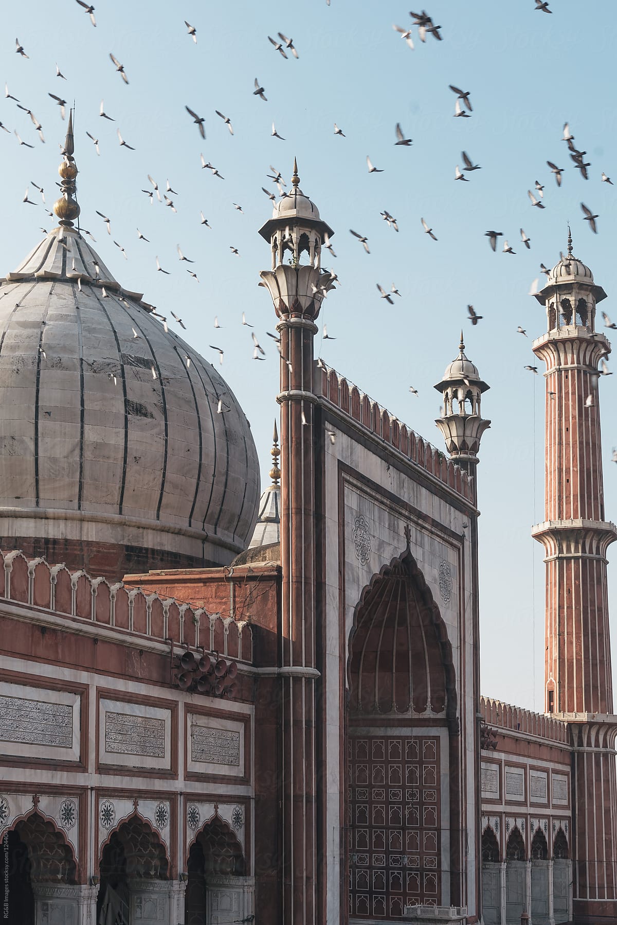 Flock of piegeons flying above ancient Jama Masjid mosque in India