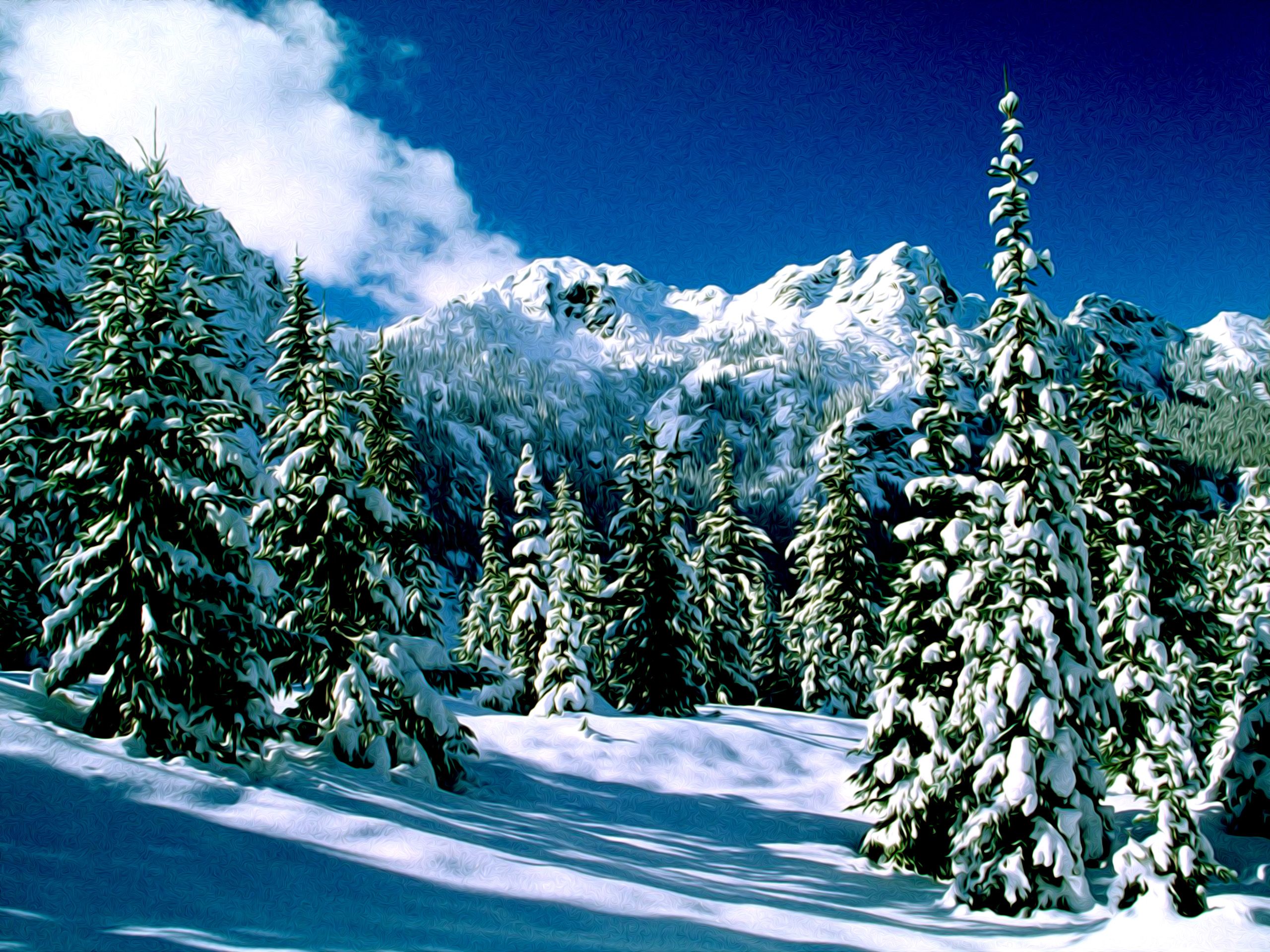 Free download Winter Nature Snow Scene Desktop Wallpapers for