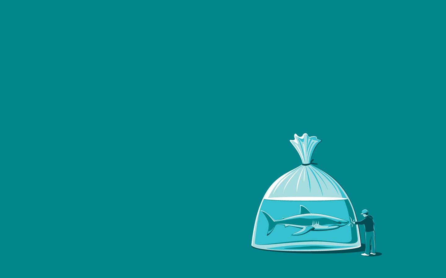 Shark Water Bag Stupid Man Minimal Desktop Wallpaper
