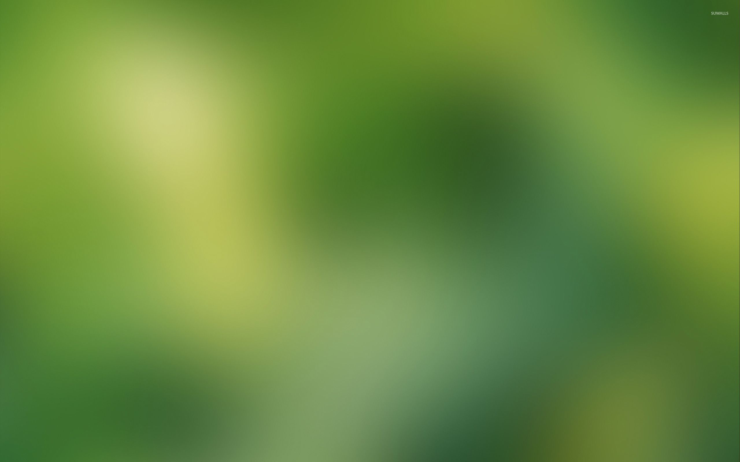Free photo: Milky Green Blurred Background, Wallpaper