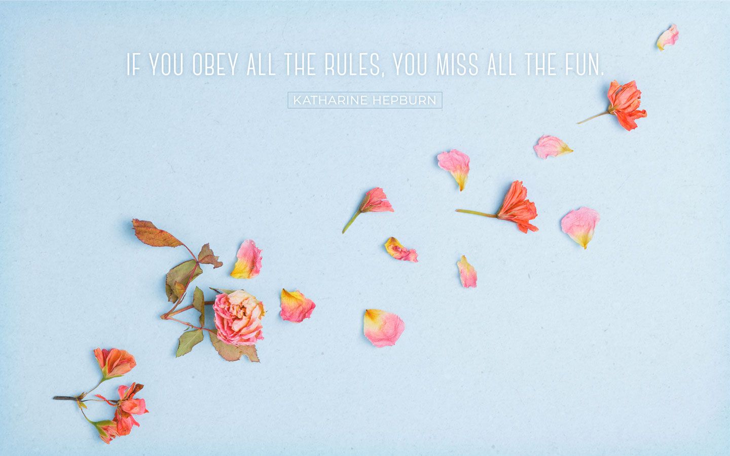 Inspirational Quotes for Women with Desktop Background