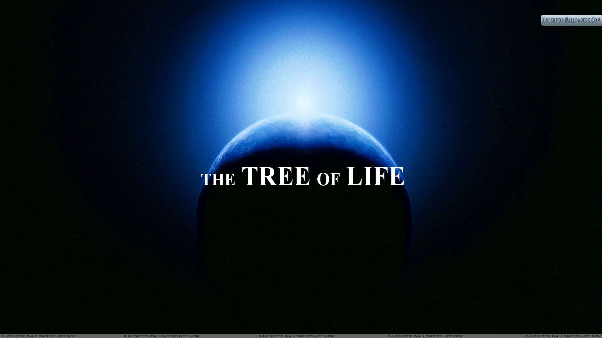 Обои life. Tree of Life Wallpaper. Tree of Life Wallpaper engine. Обои только Life. Hard Life Wallpaper.