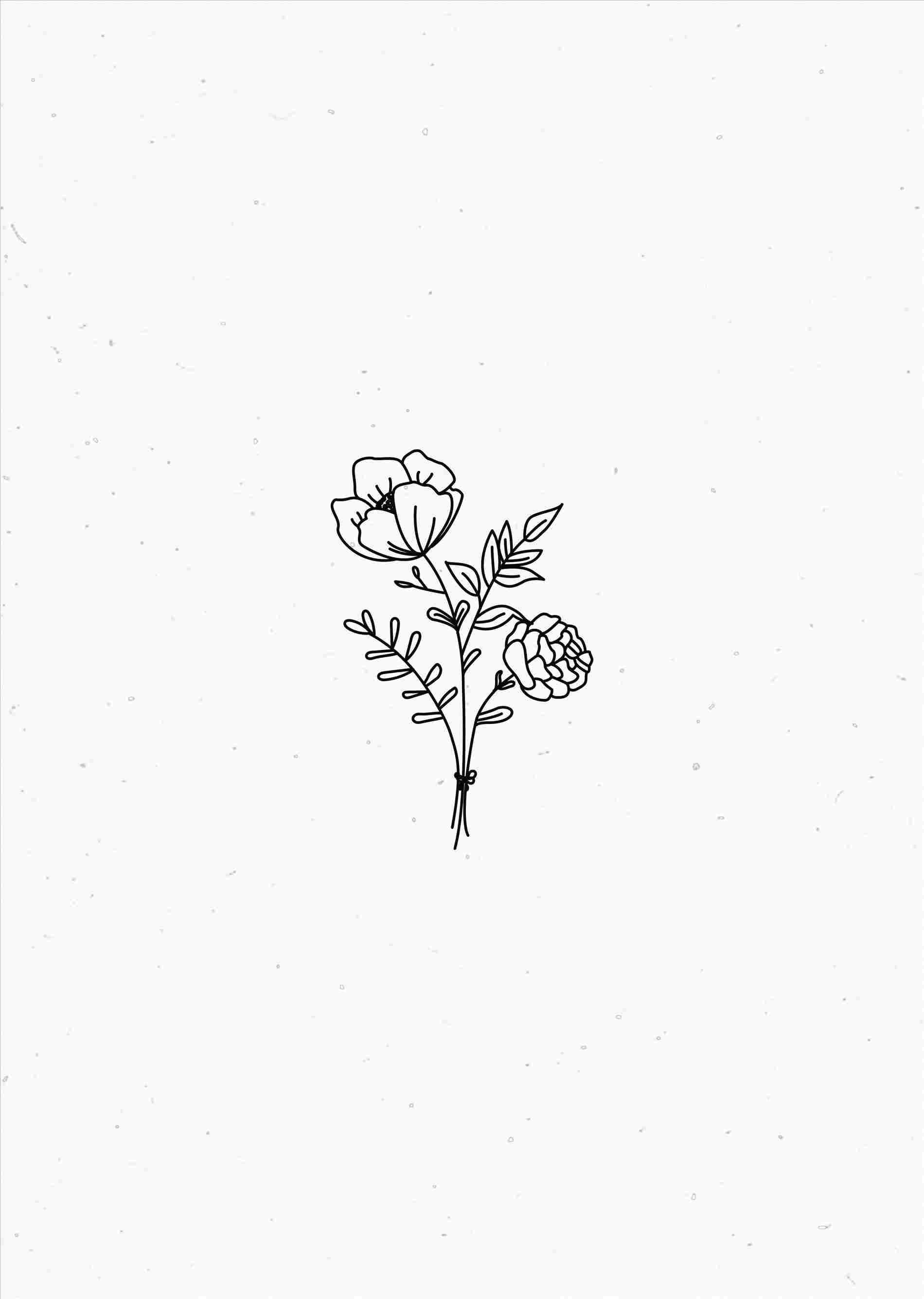 Aesthetic Flower Drawing White Background - Goimages Smidgen