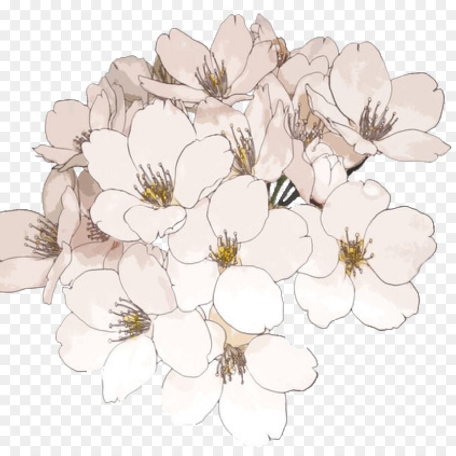 Free Transparent Flower Drawing Tumblr, Download Free Clip Art