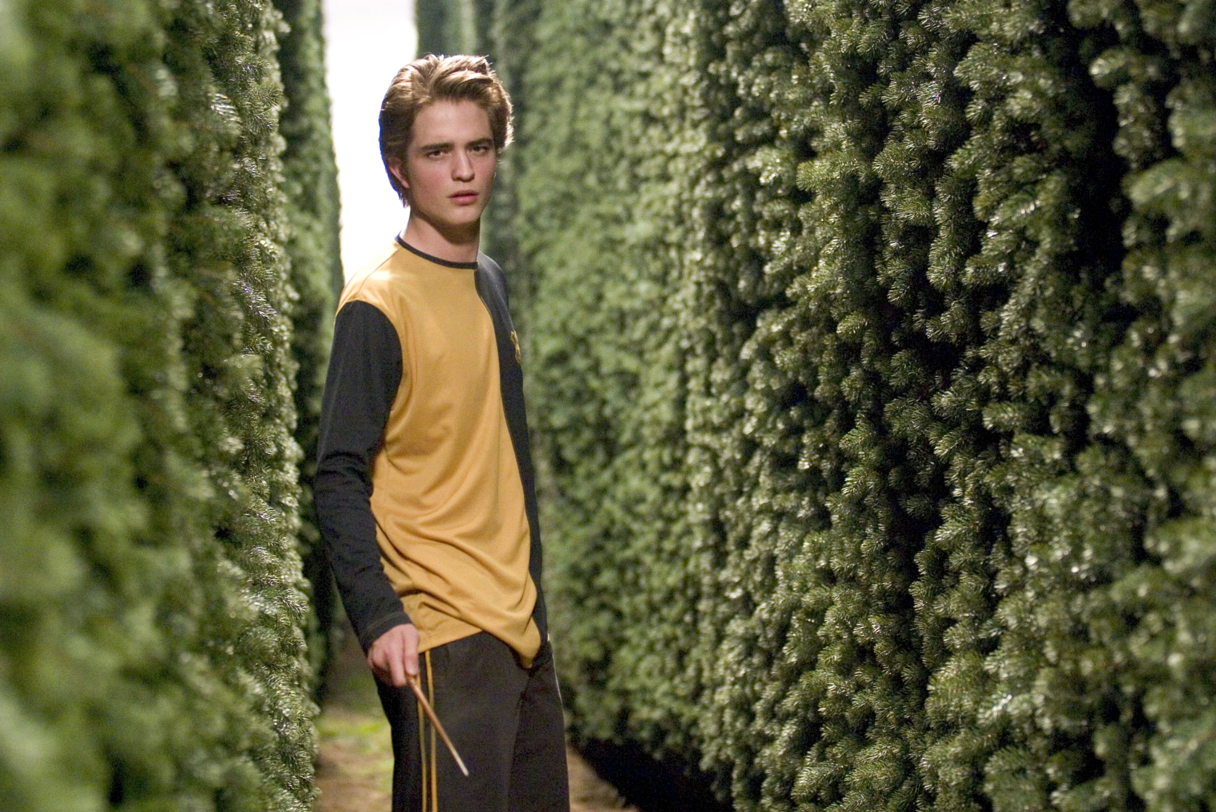 Cedric Diggory Wallpapers - Wallpaper Cave