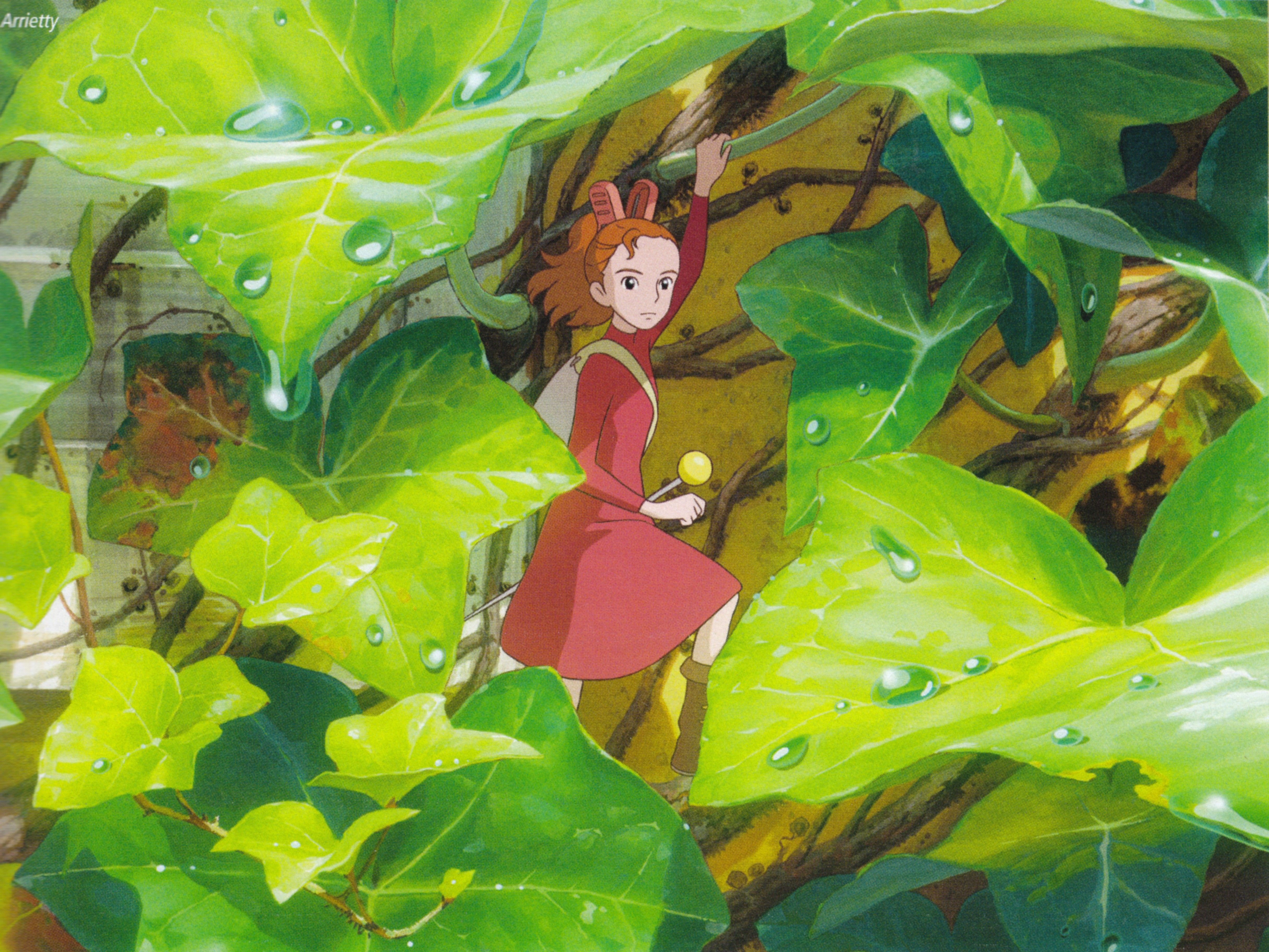 The Borrower Arrietty and Scan Gallery