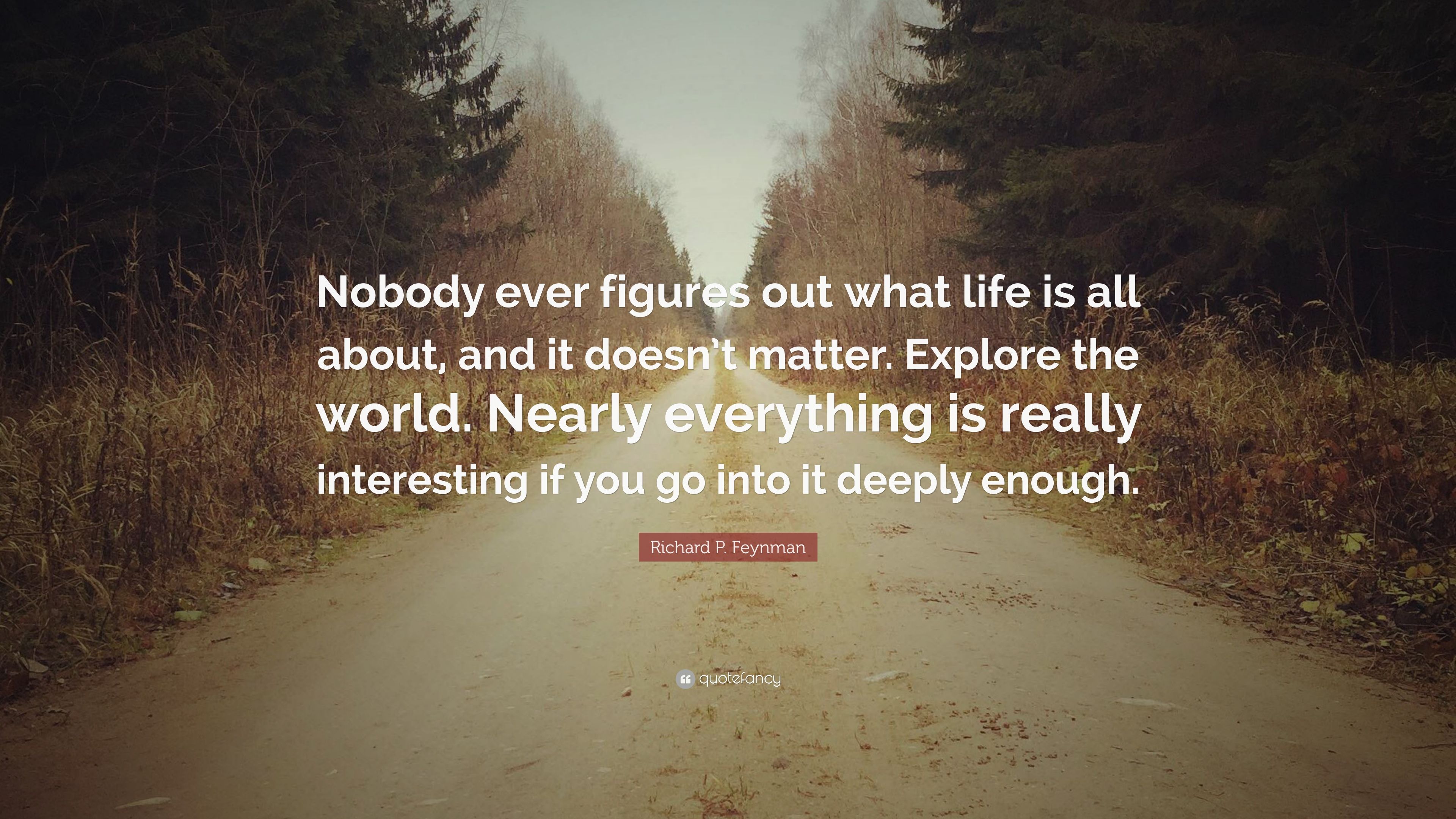 Richard P. Feynman Quote: “Nobody ever figures out what life is