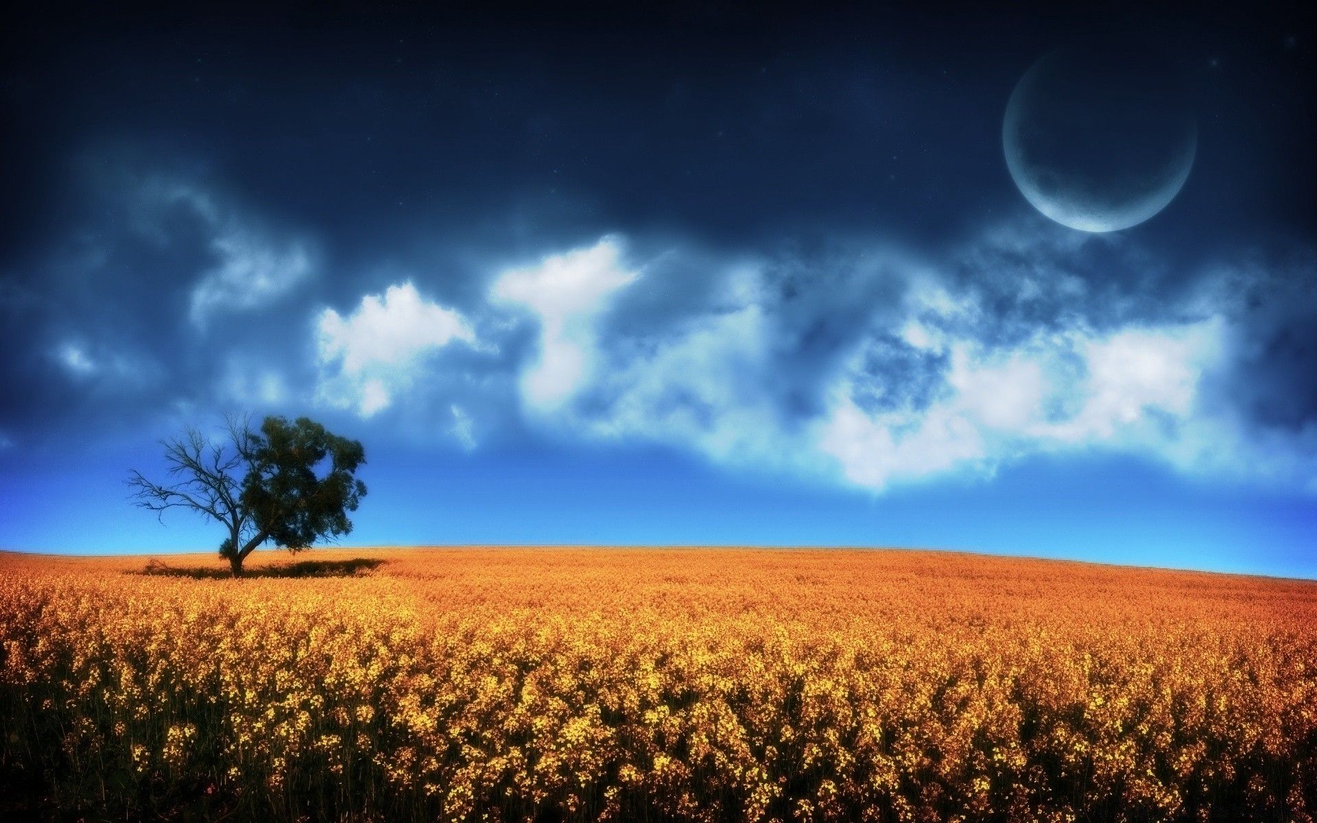 Dreams Of A Fantasy World 2