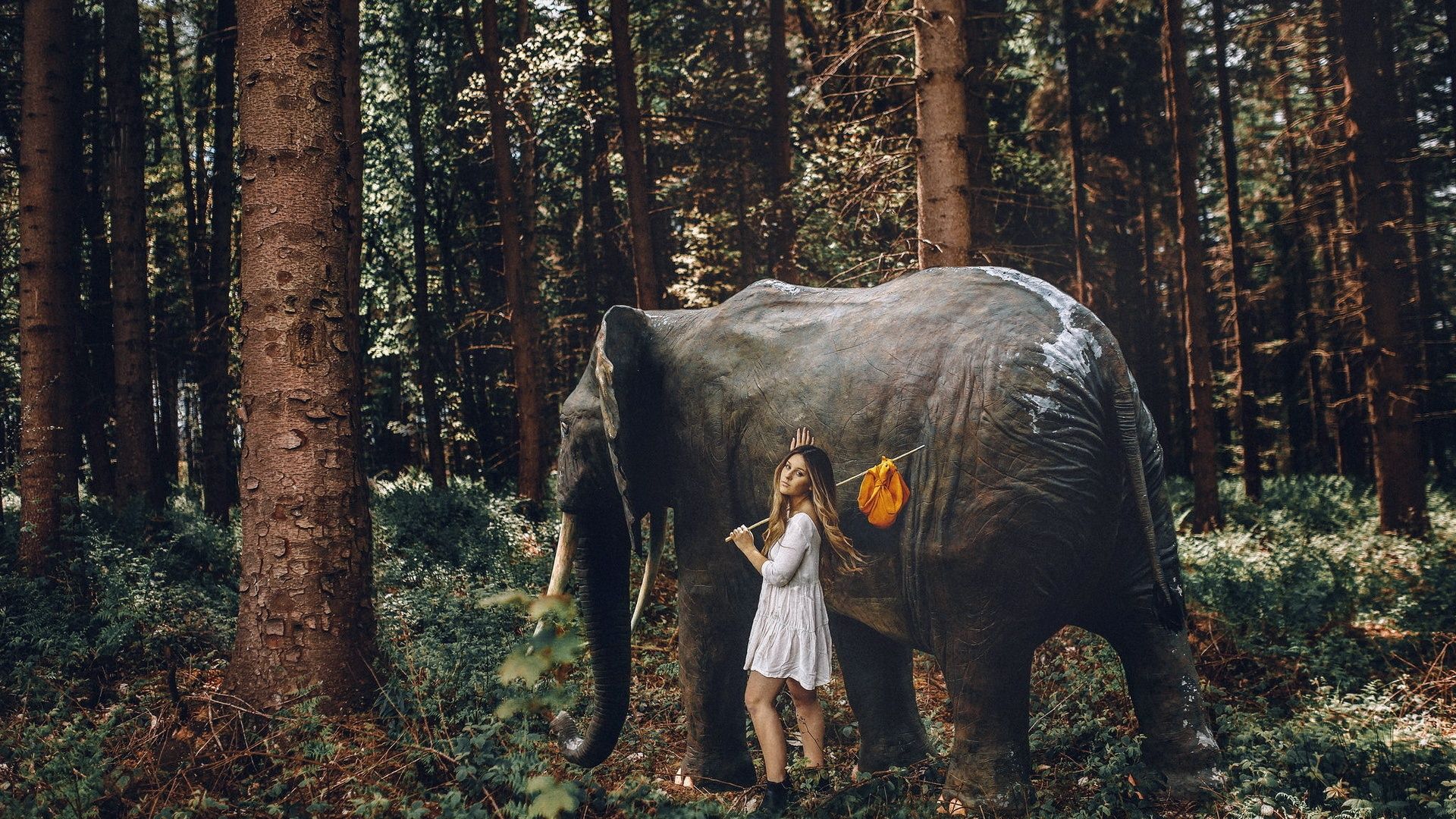 Wallpaper Girl and elephant in the forest 1920x1200 HD Picture, Image