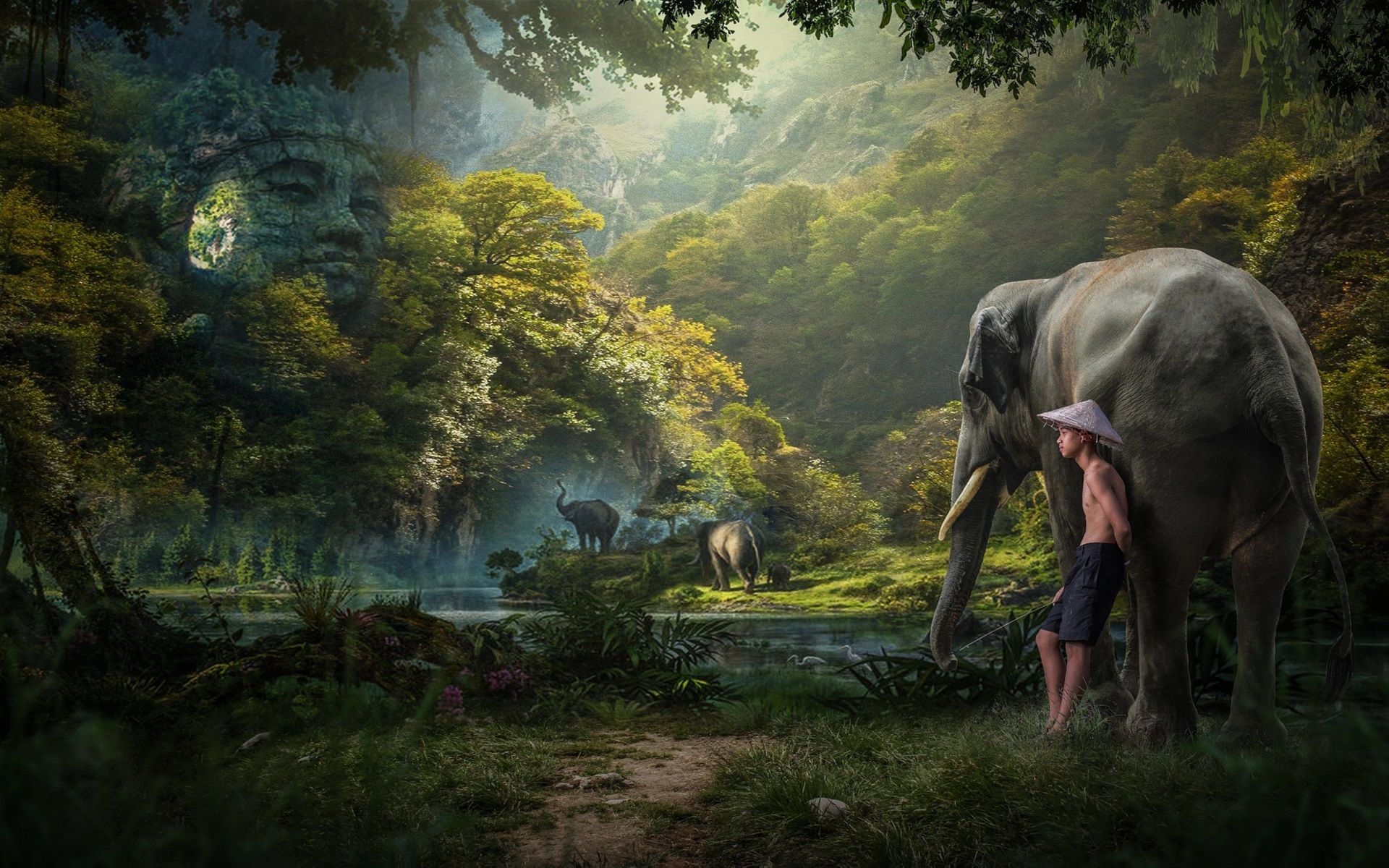 Wallpaper Jungle, boy, elephants, trees 1920x1200 HD Picture, Image