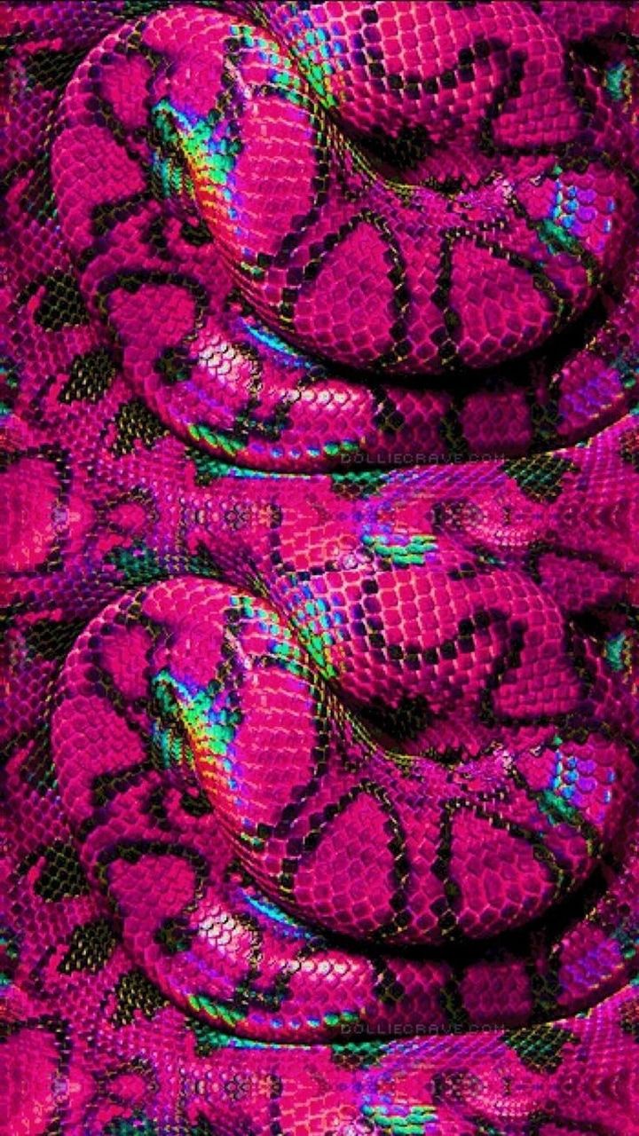 Hot Pink Snakes HD Wallpaper. ❤️ it