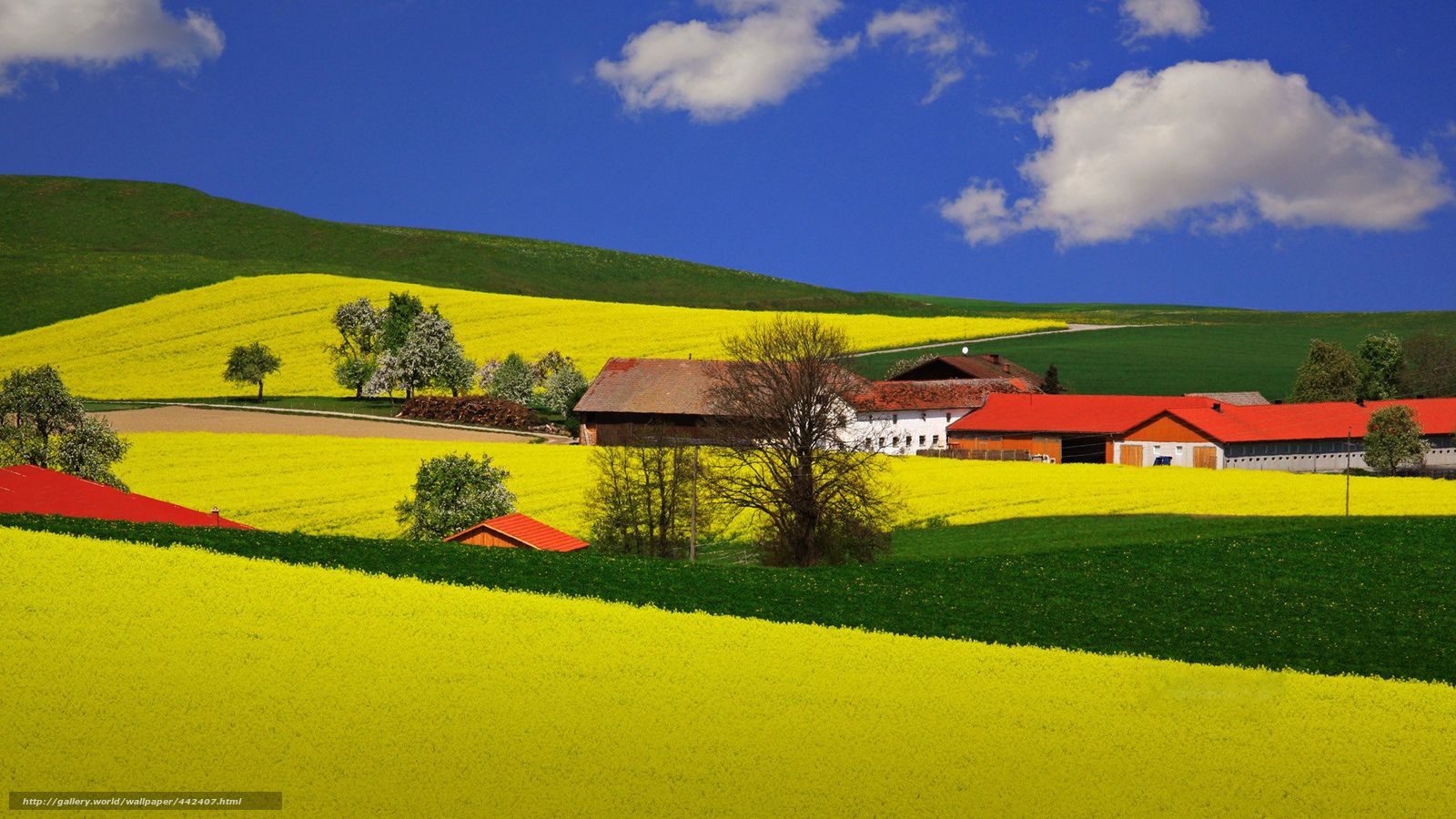 Download wallpapers field, houses, summer, farm free desktop