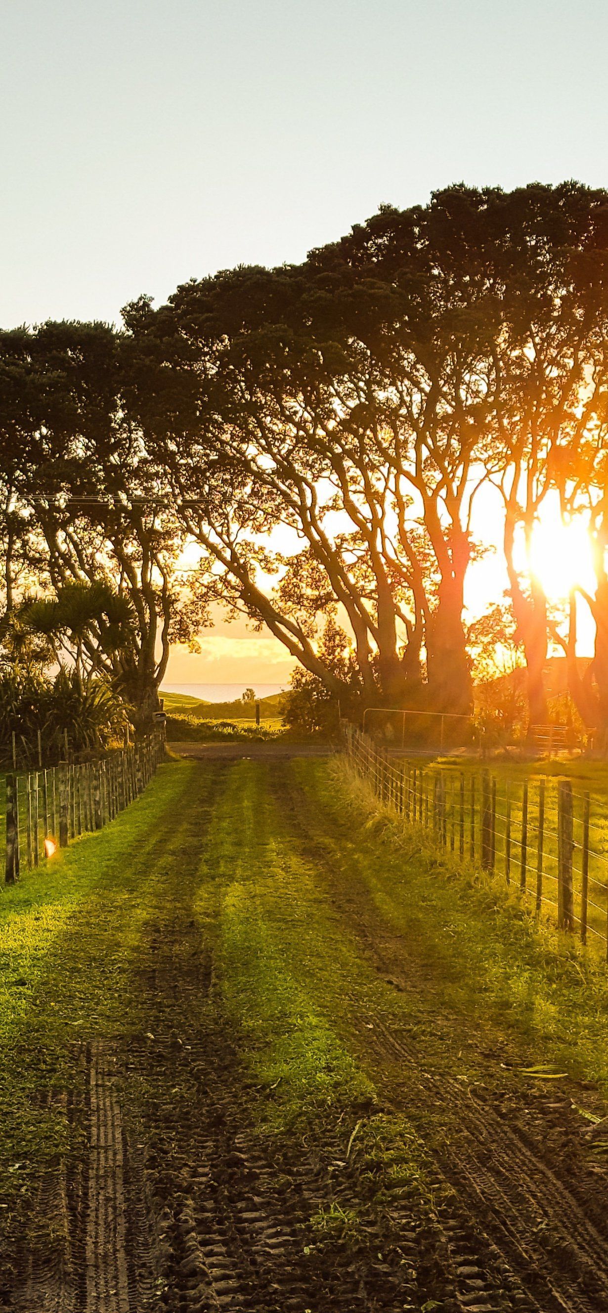 Countryside Sunset Landscape Summer Field Farm Sunlight Outdoor