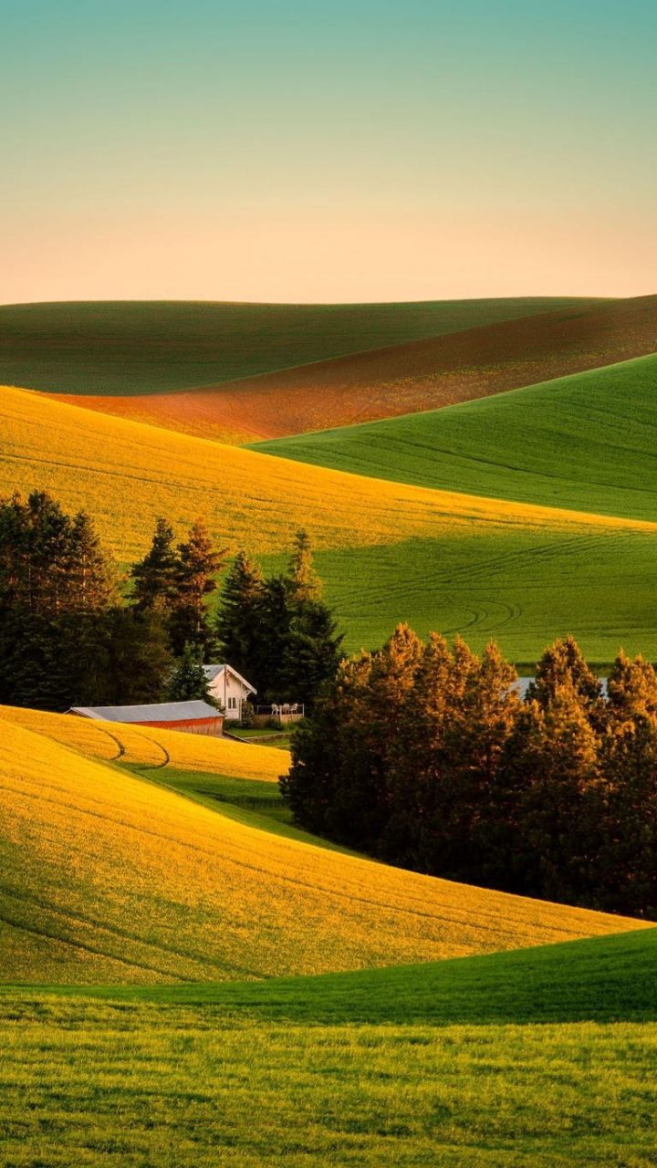 Download Wallpapers 720x1280 Field, Grass, Landscape, Farm Samsung