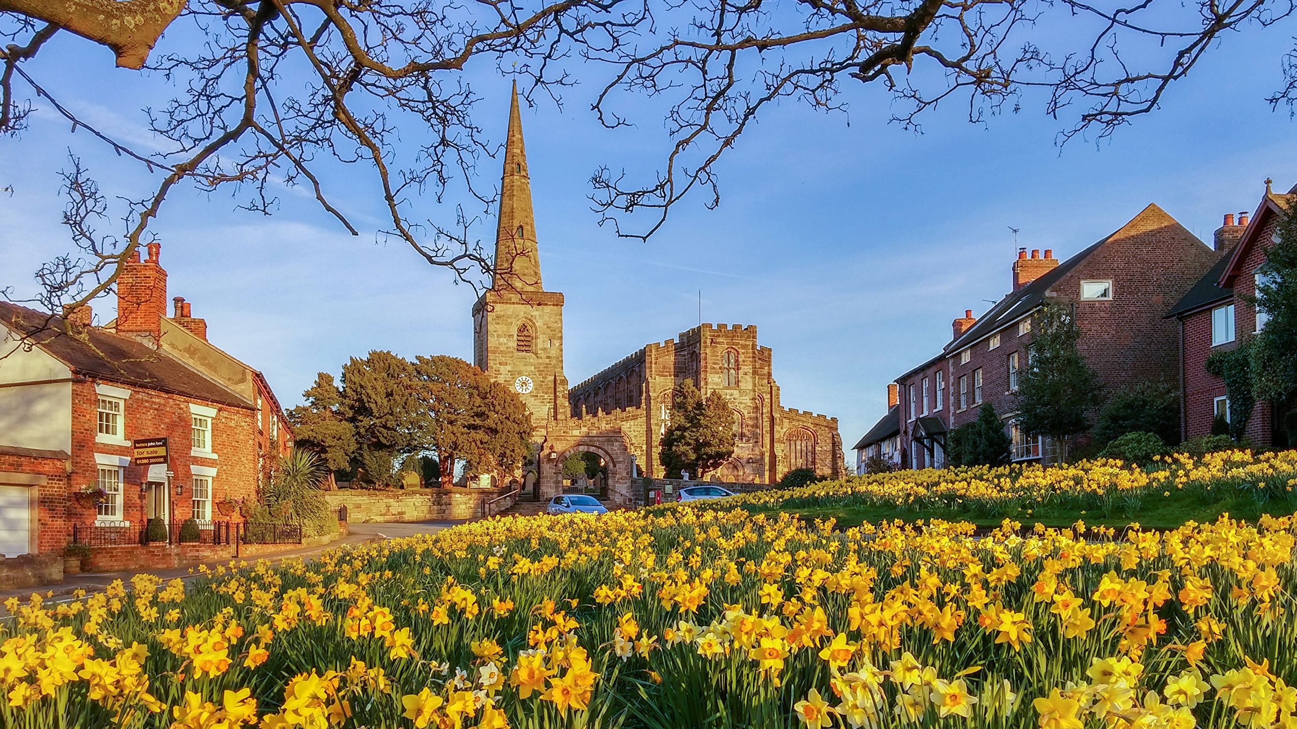 Picture England Astbury Spring Daffodils Cities Building 2560x1440