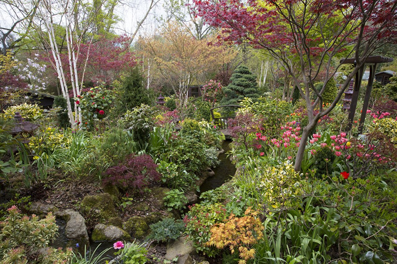 Desktop Wallpaper England Walsall Garden Nature Spring Gardens