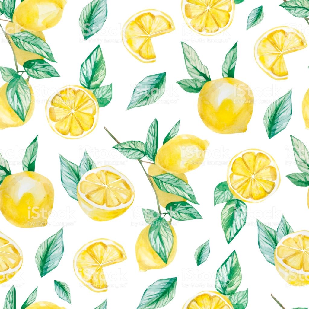 Watercolor Fruit Pattern Lemon Summer Print For The Textile Fabric Wallpaper Stock Illustration Image Now