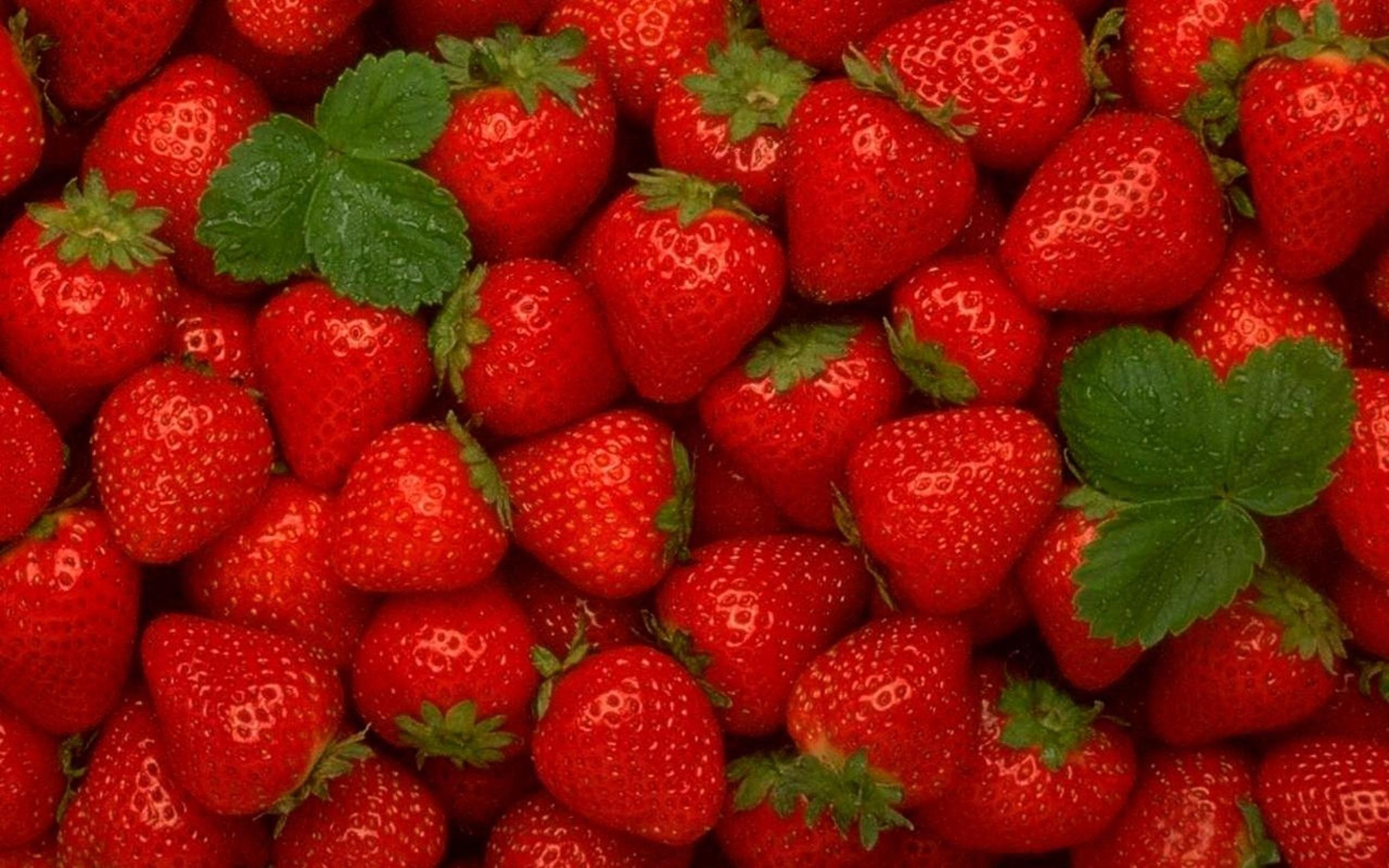 Red fruits summer strawberries wallpaperx1600