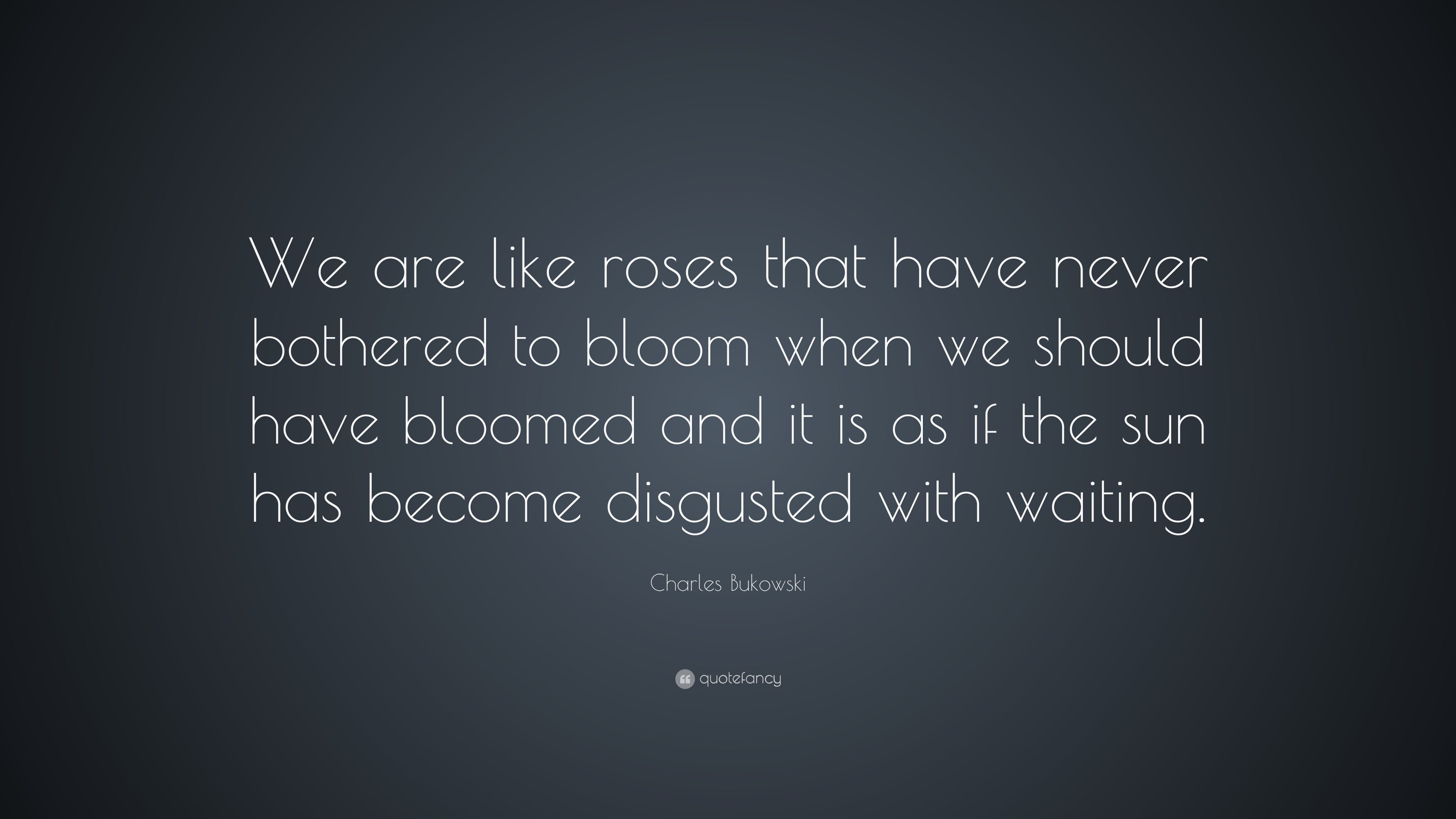 Charles Bukowski Quote: “We are like roses that have never