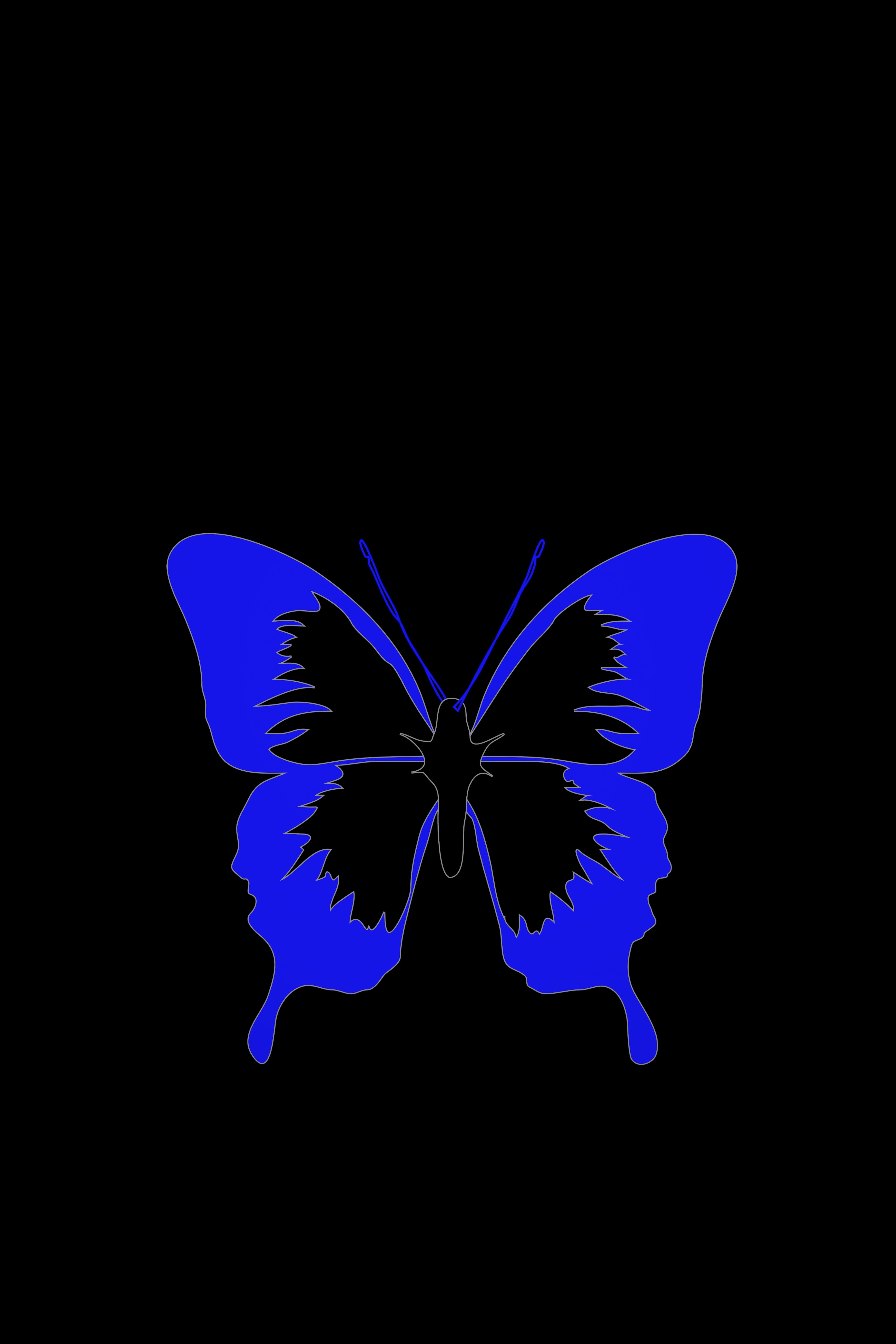 Download wallpaper 4000x6000 butterfly, minimalism, black, blue HD