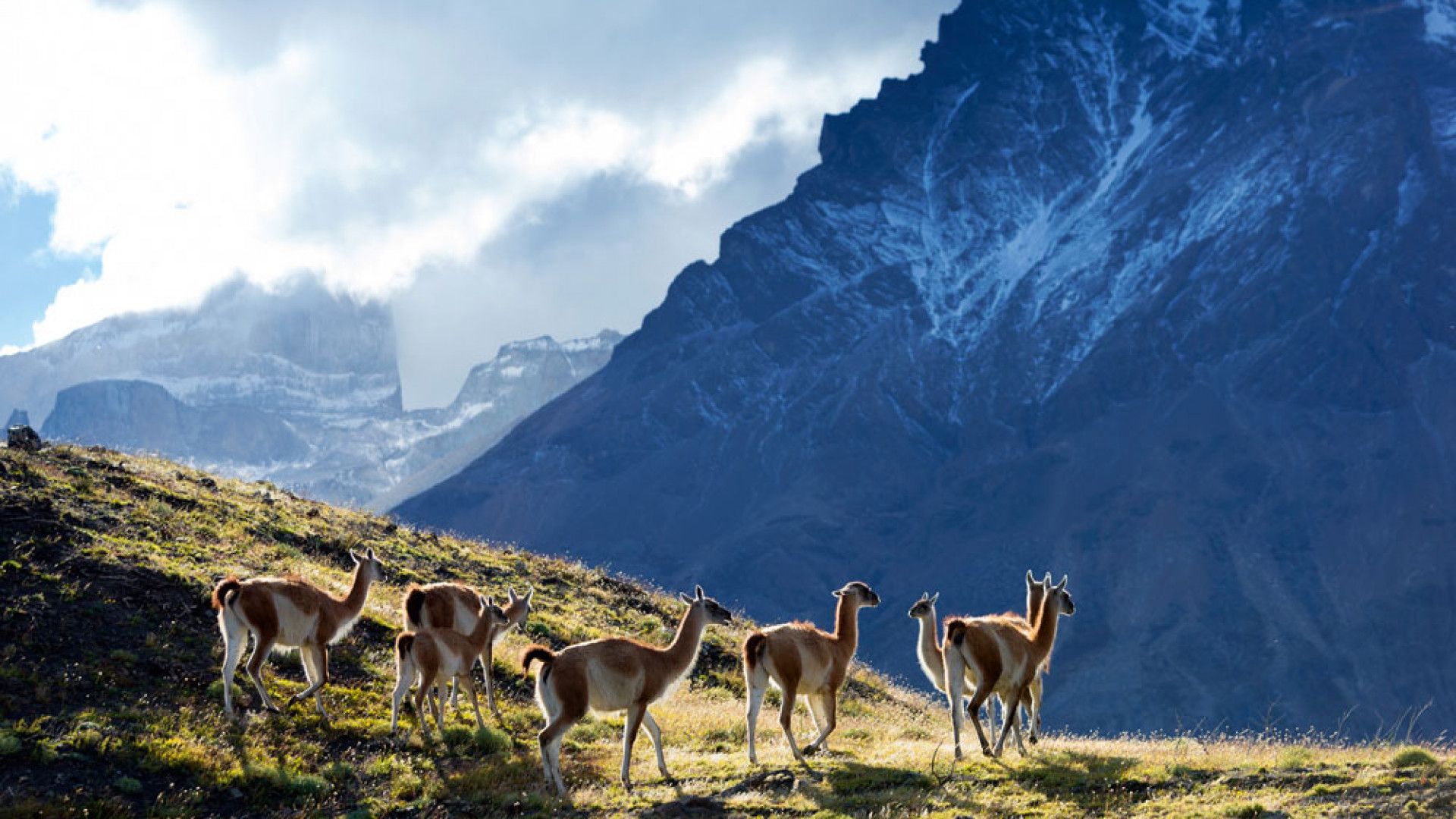 Exploring the wilderness of Chilean Patagonia
