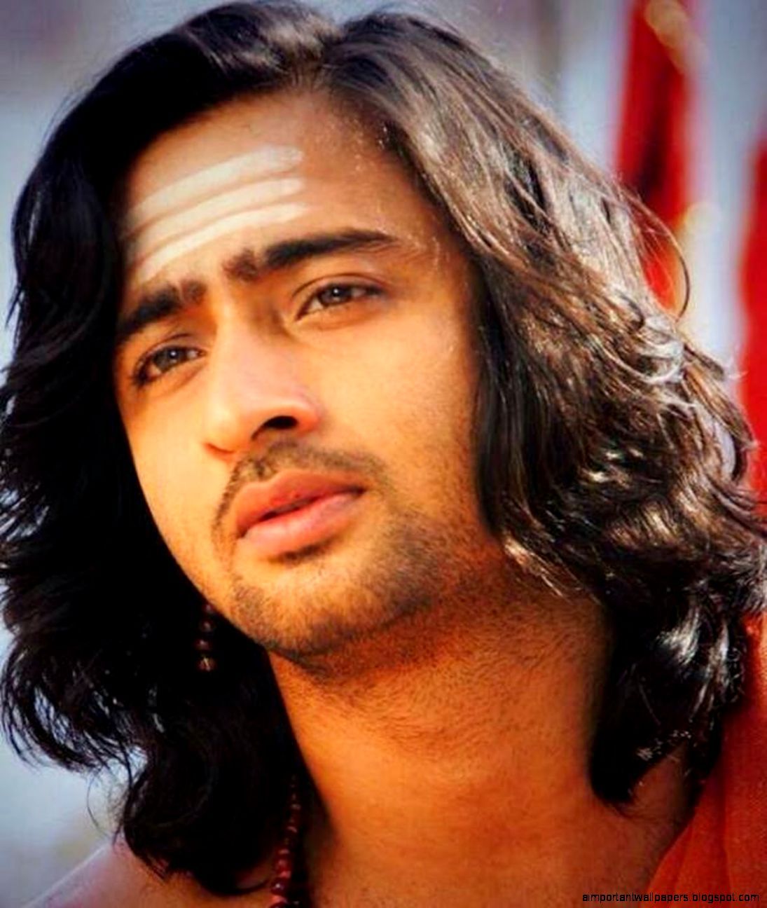 Shaheer Sheikh Vs Mohsin Khan: Who According To You Pulled Off Long Hair  Better?