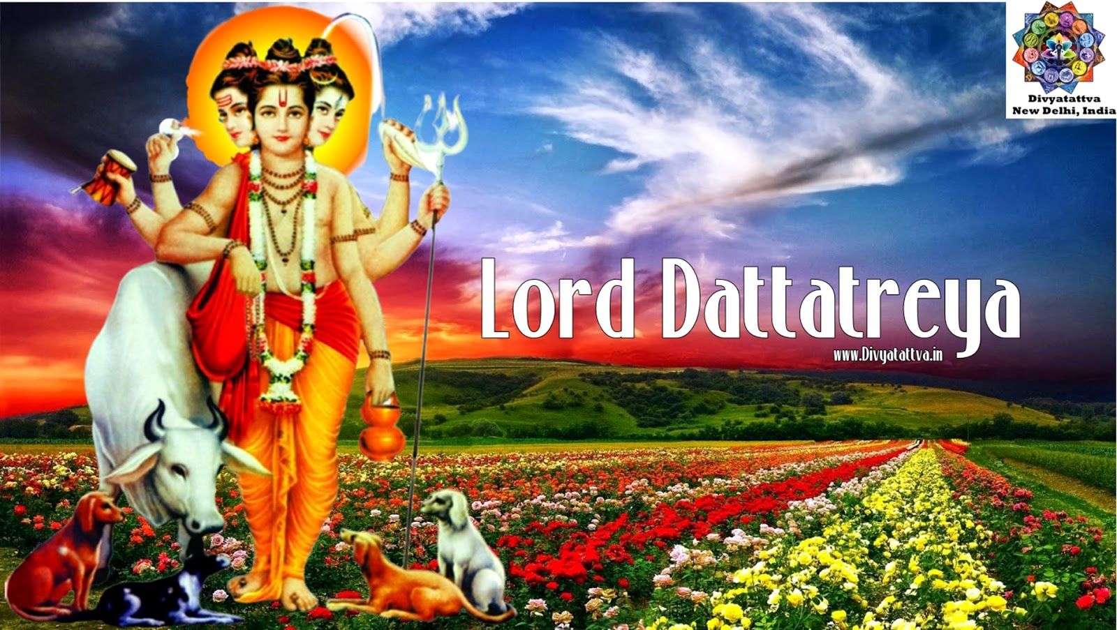 Dattatreya HD wallpapers | Pxfuel