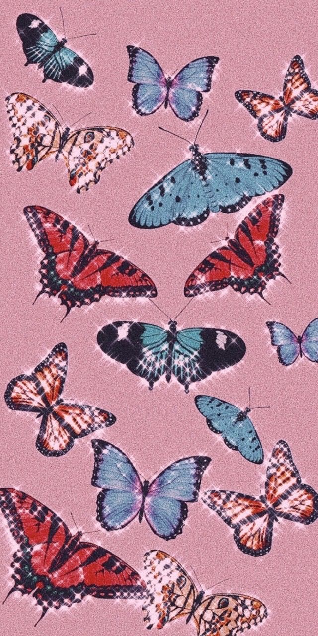 Aesthetics Butterfly Picture Wallpapers - Wallpaper Cave