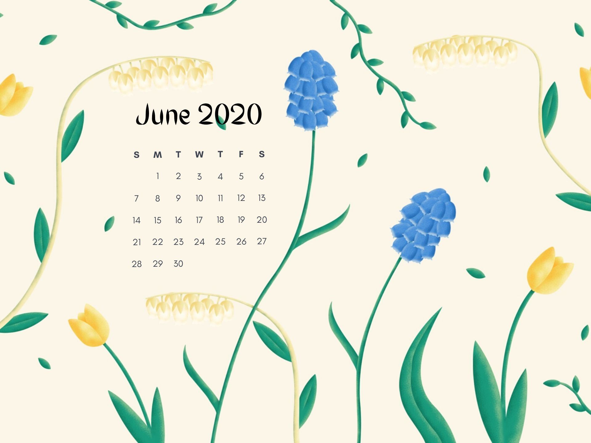 June 2020 Calendar HD Wallpaper