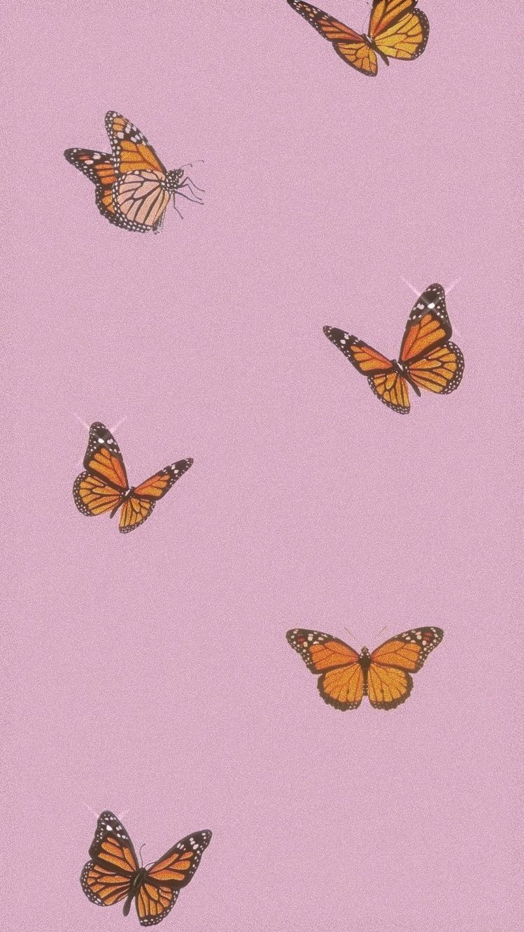 butterfly wallpaper uploaded