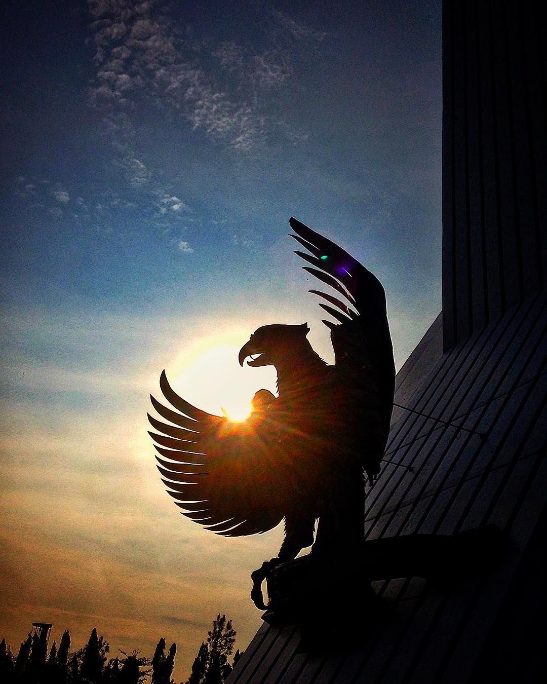 Garuda Pancasila, Indonesia's National Symbol. #silhouette #sunrise #morning #pancasila #garuda #burunggar. Foto alam, Fotografi alam, Lambang negara