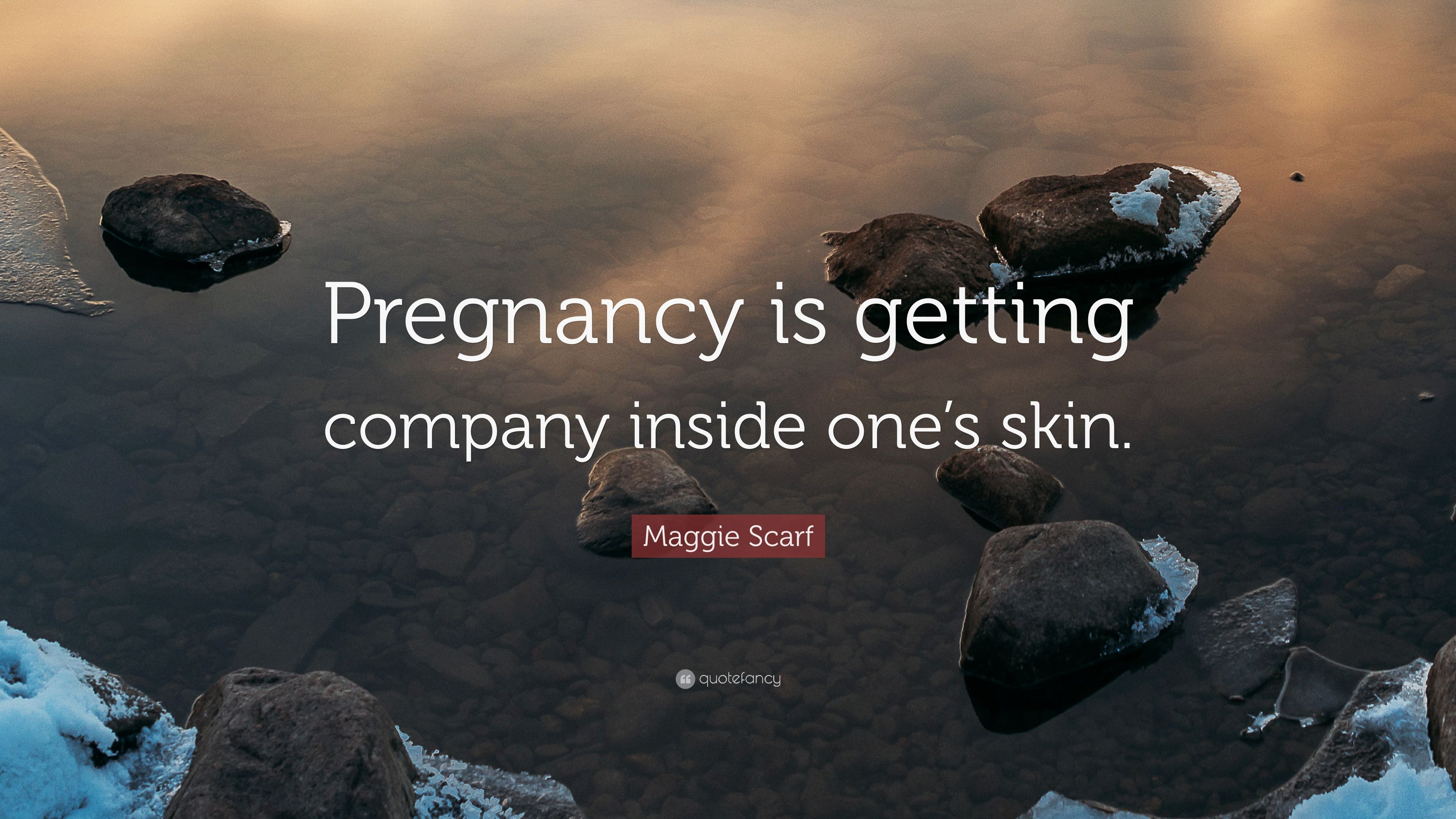 Maggie Scarf Quote: “Pregnancy is getting company inside one's