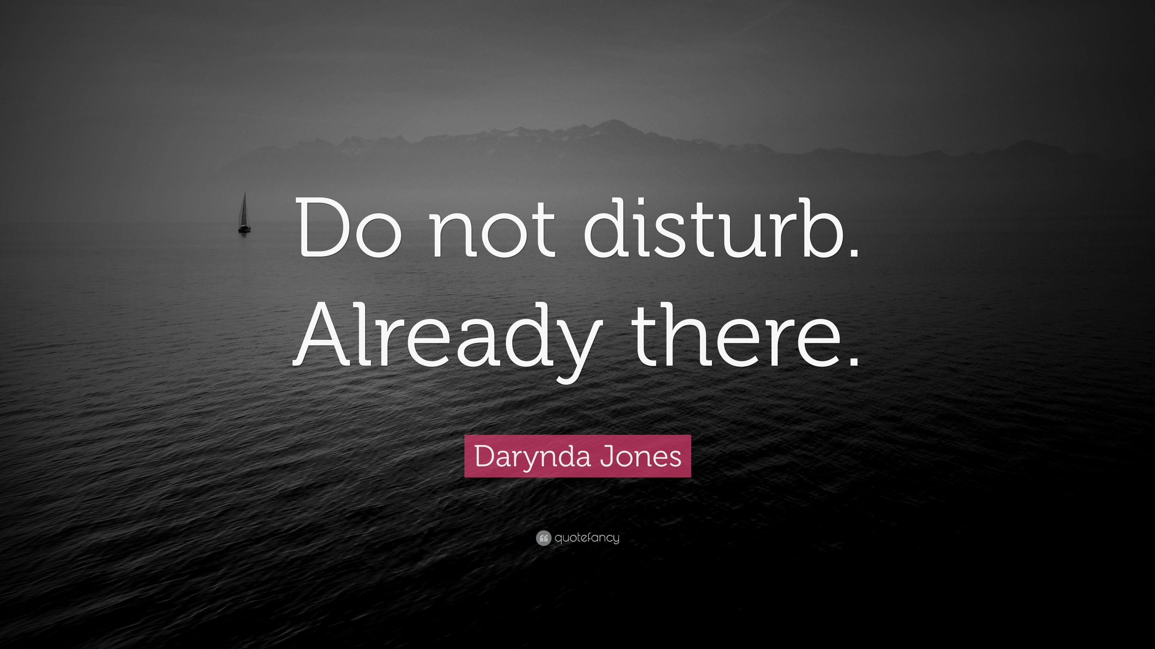Darynda Jones Quote: “Do not disturb. Already there.” 7