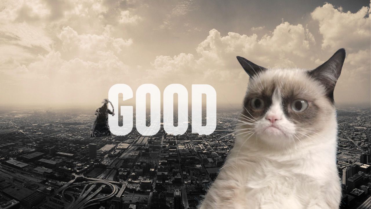 Grumpy Cat Image Download