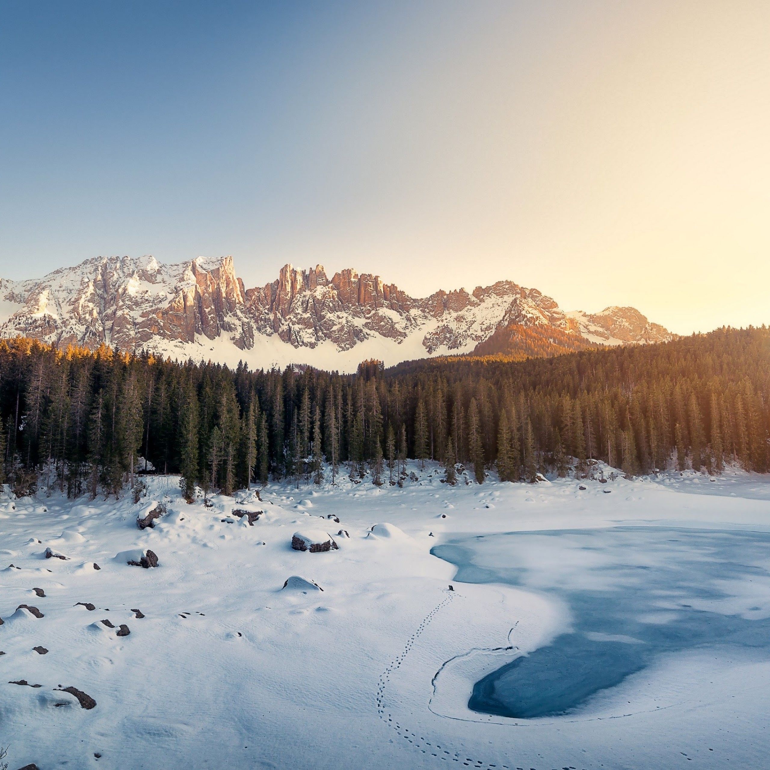 Wallpaper Dolomites, Mountains, Winter, Forest, Italy, Nature
