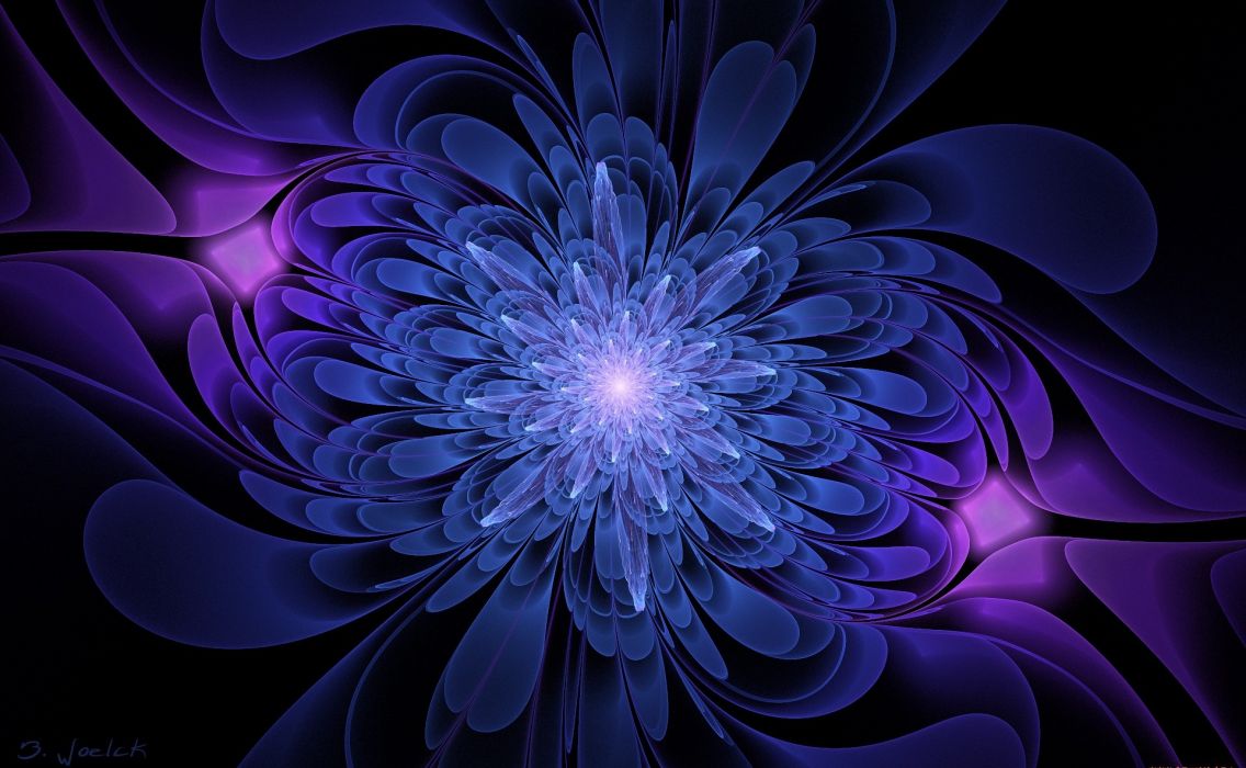 Black background blue and serenevy color graphics flower wallpaper