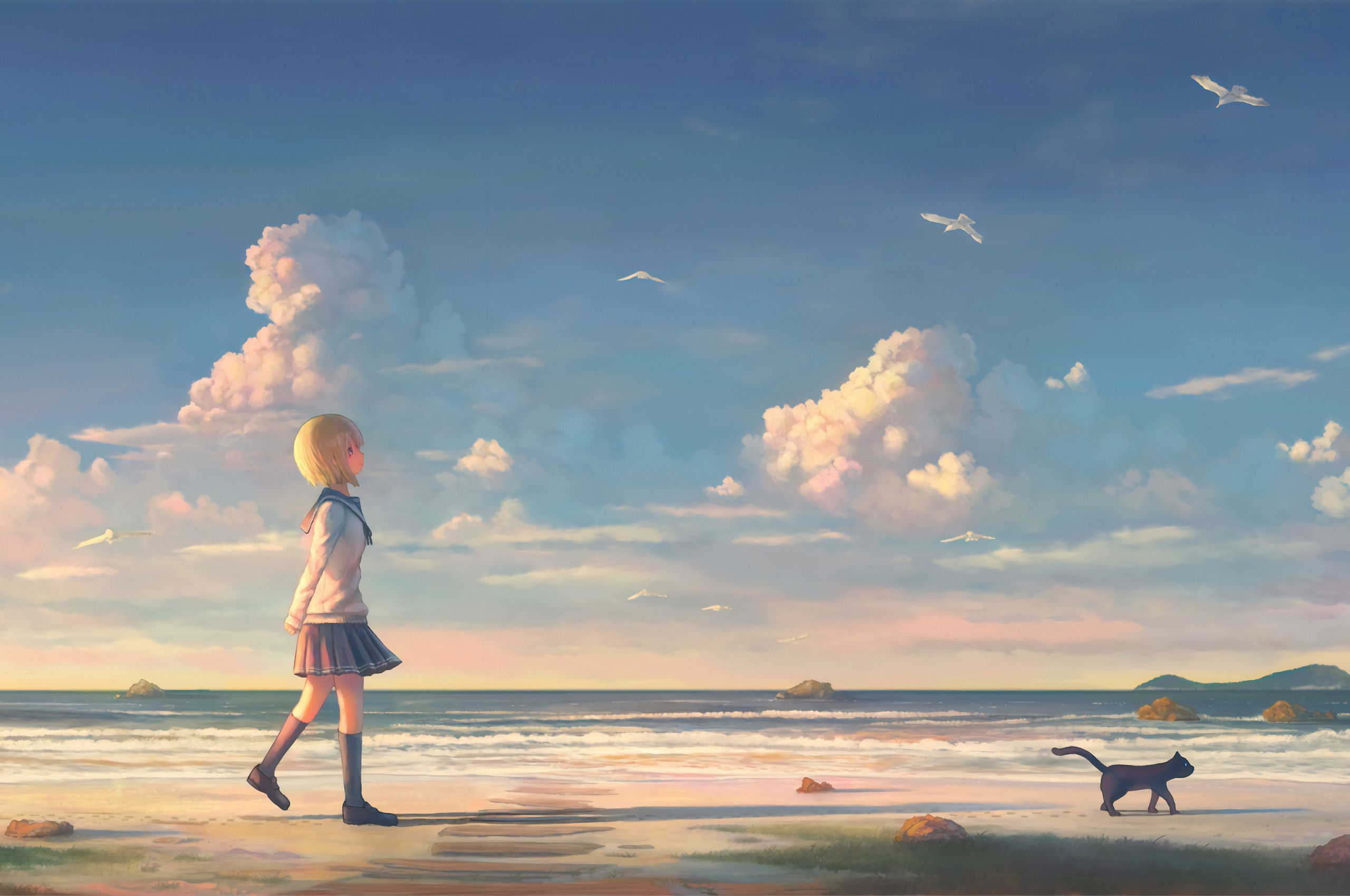 Anime Girl Walking On Beach With Cat Chromebook Pixel HD