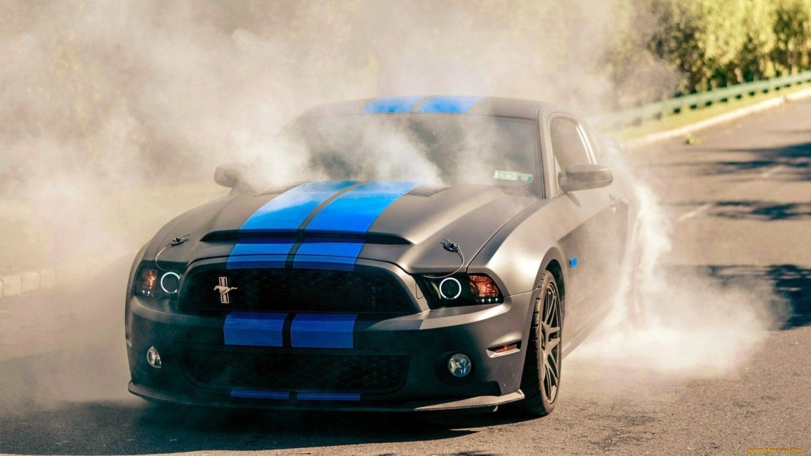 Download 1600x900 Ford Mustang Shelby Gt Burnout, Front View