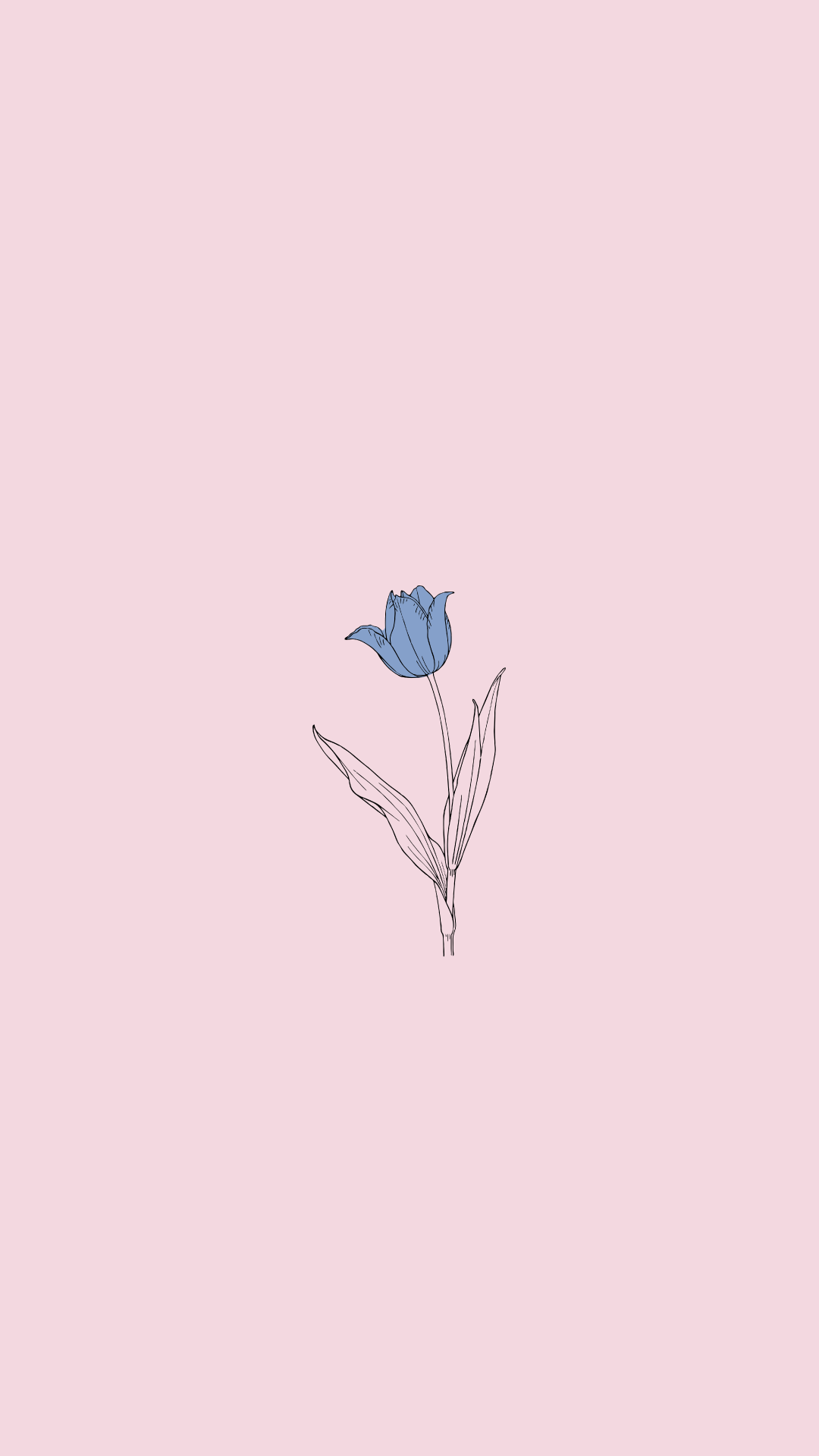 Featured image of post Flower Minimalist Wallpaper Pinterest - Also explore thousands of beautiful hd wallpapers and background images.