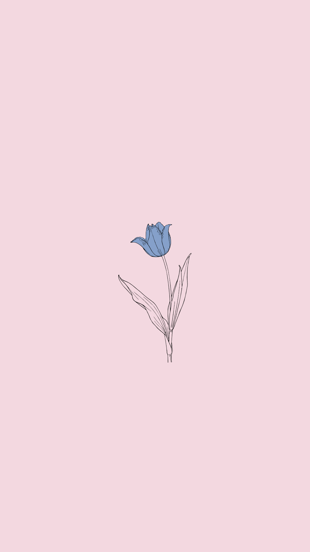 Minimalist Drawing Wallpaper Free Minimalist Drawing