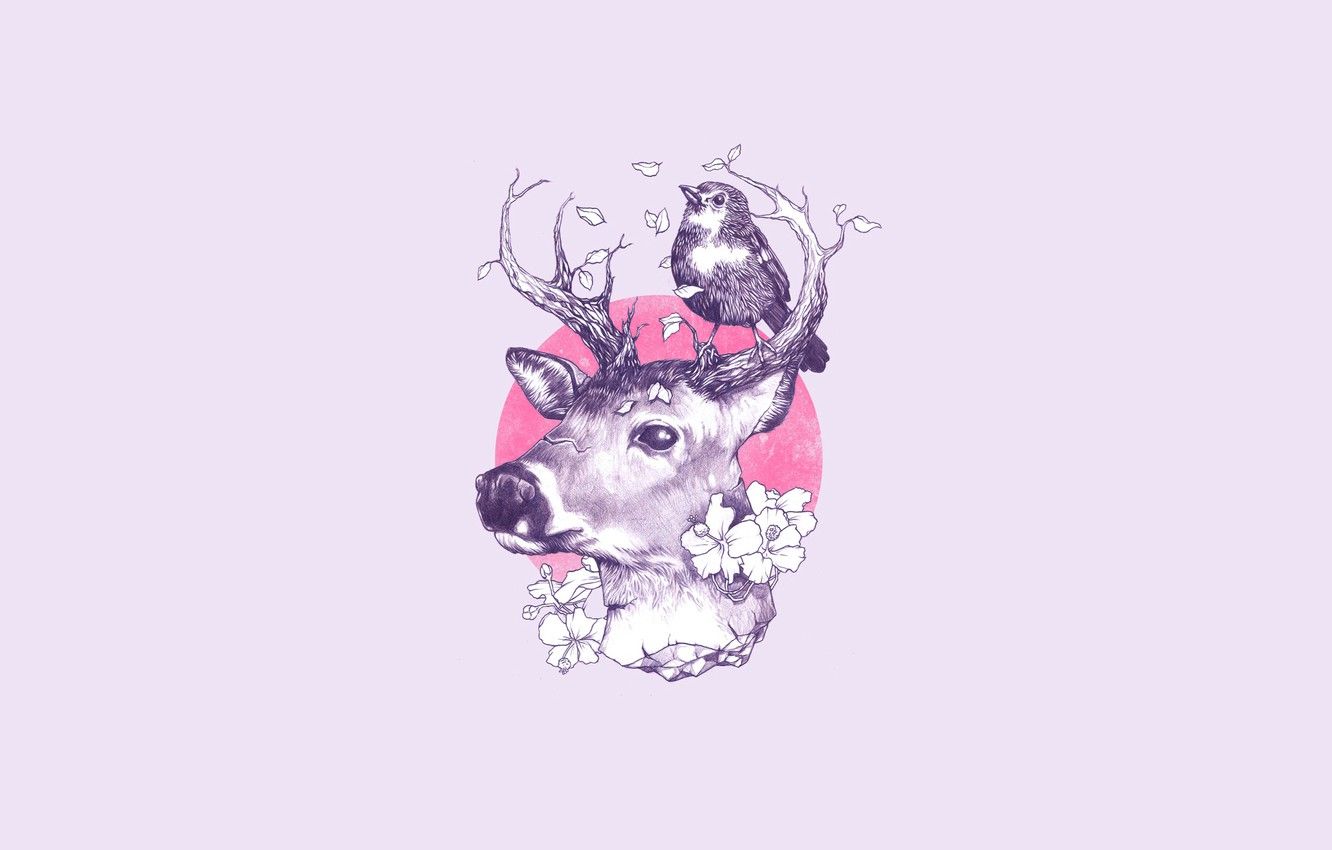 Wallpaper leaves, flowers, branches, tree, bird, minimalism, deer, horns, light background, deer image for desktop, section минимализм