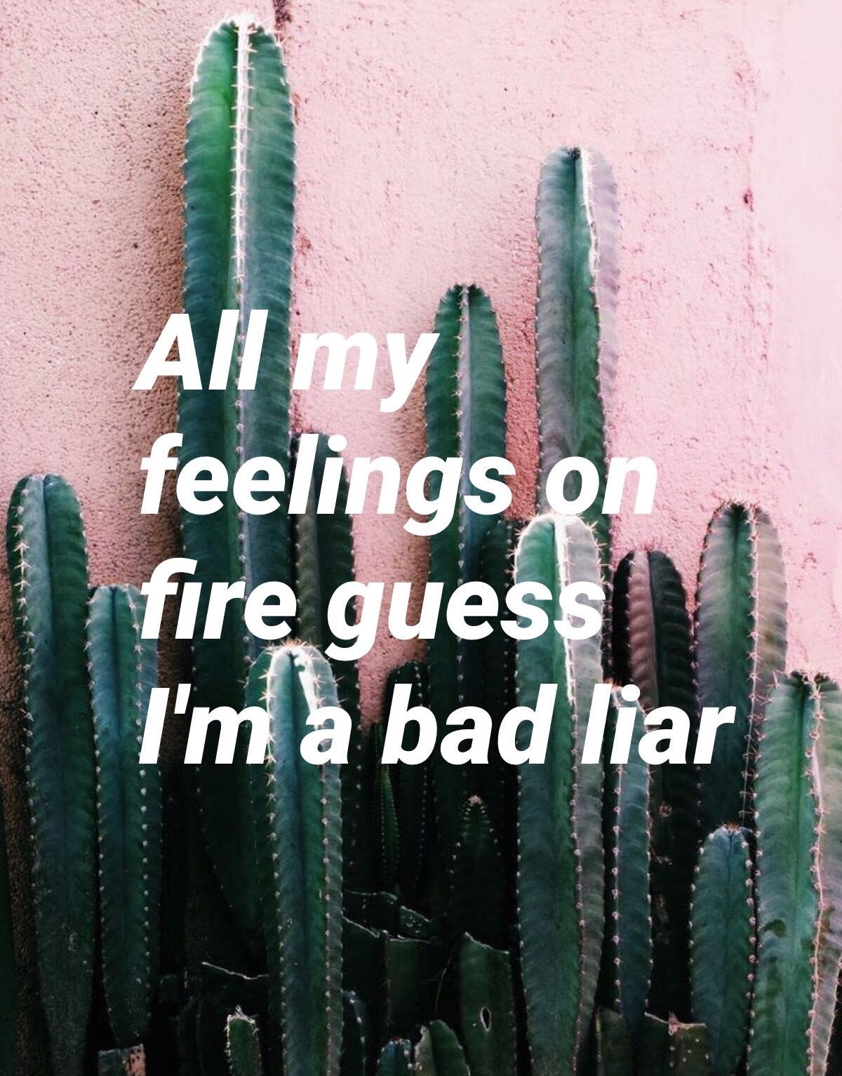 Bad Liar // Selena Gomez. Instagram caption lyrics, Song lyric