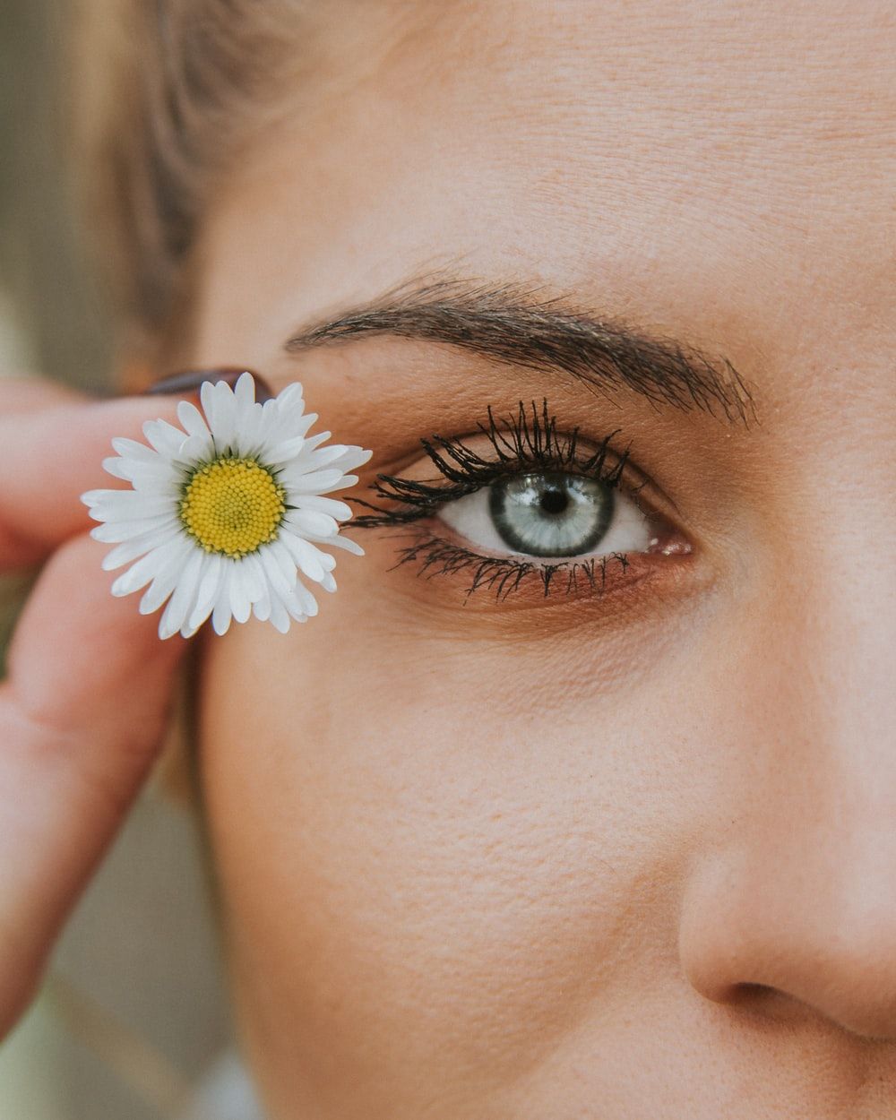 Eye Image [HD]. Download Free Picture