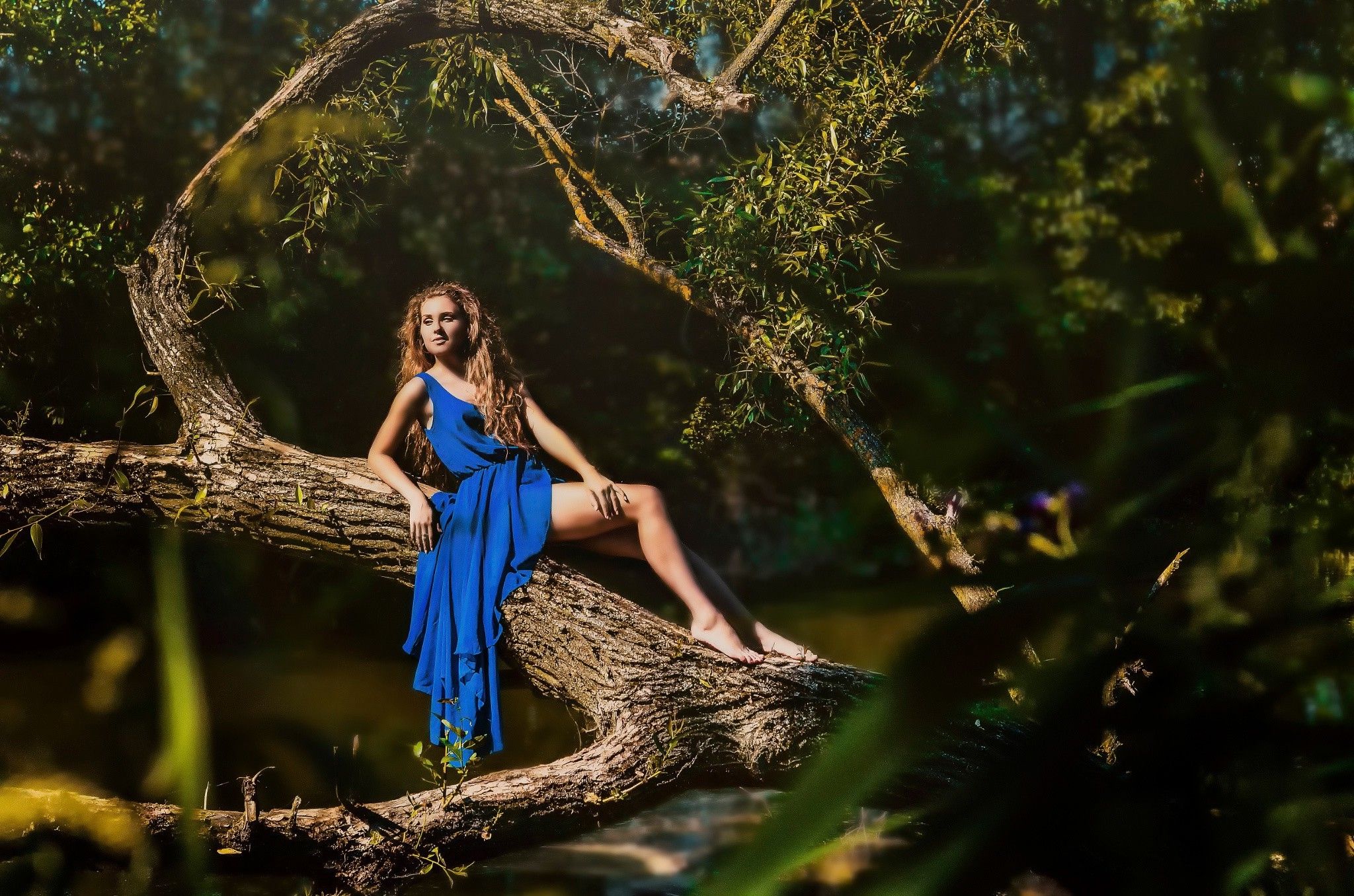 women, Trees, Blue Dress, Barefoot, Women Outdoors Wallpaper HD
