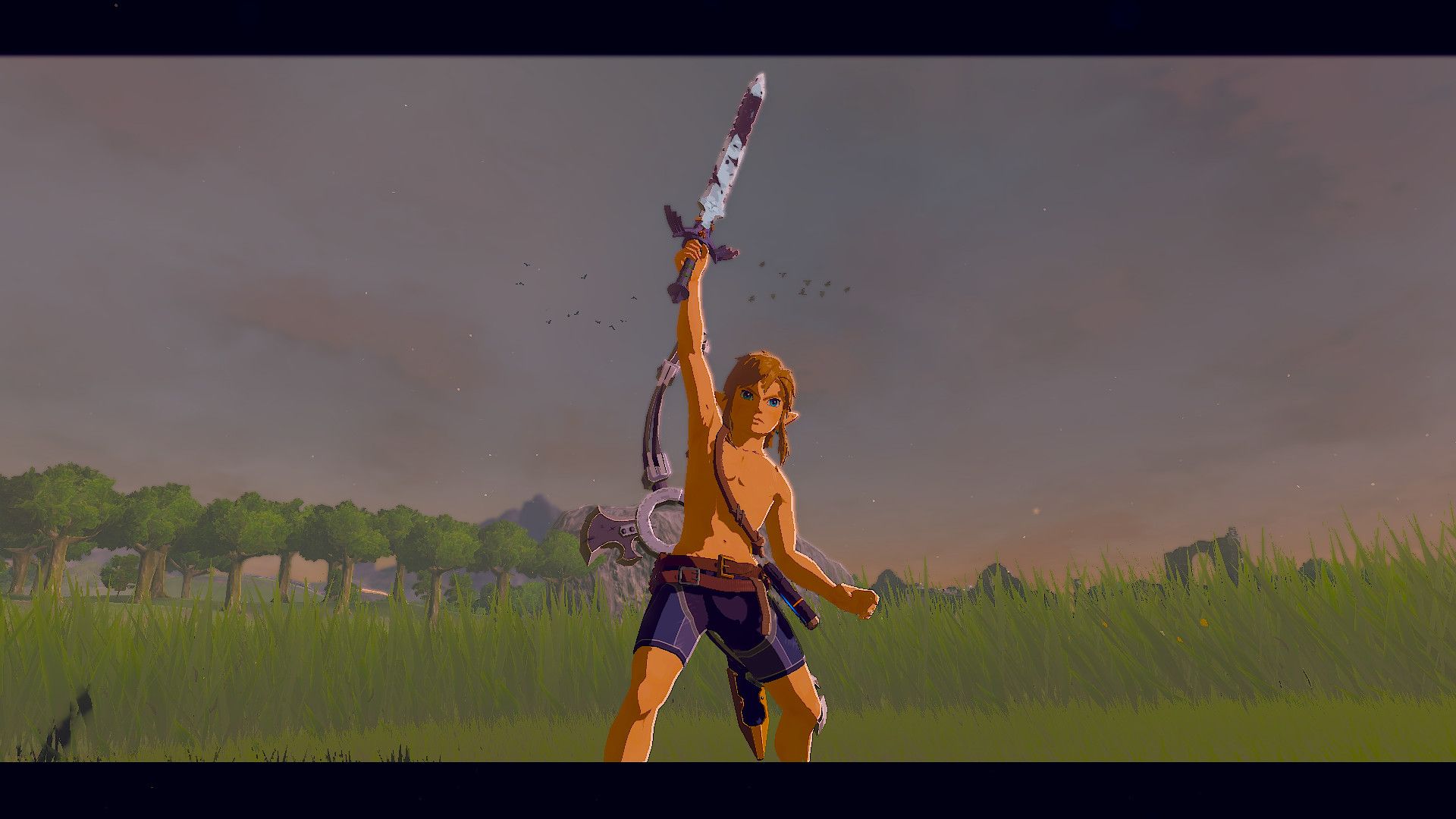 Broken Master Sword The Legend of Zelda: Breath of the Wild WiiU